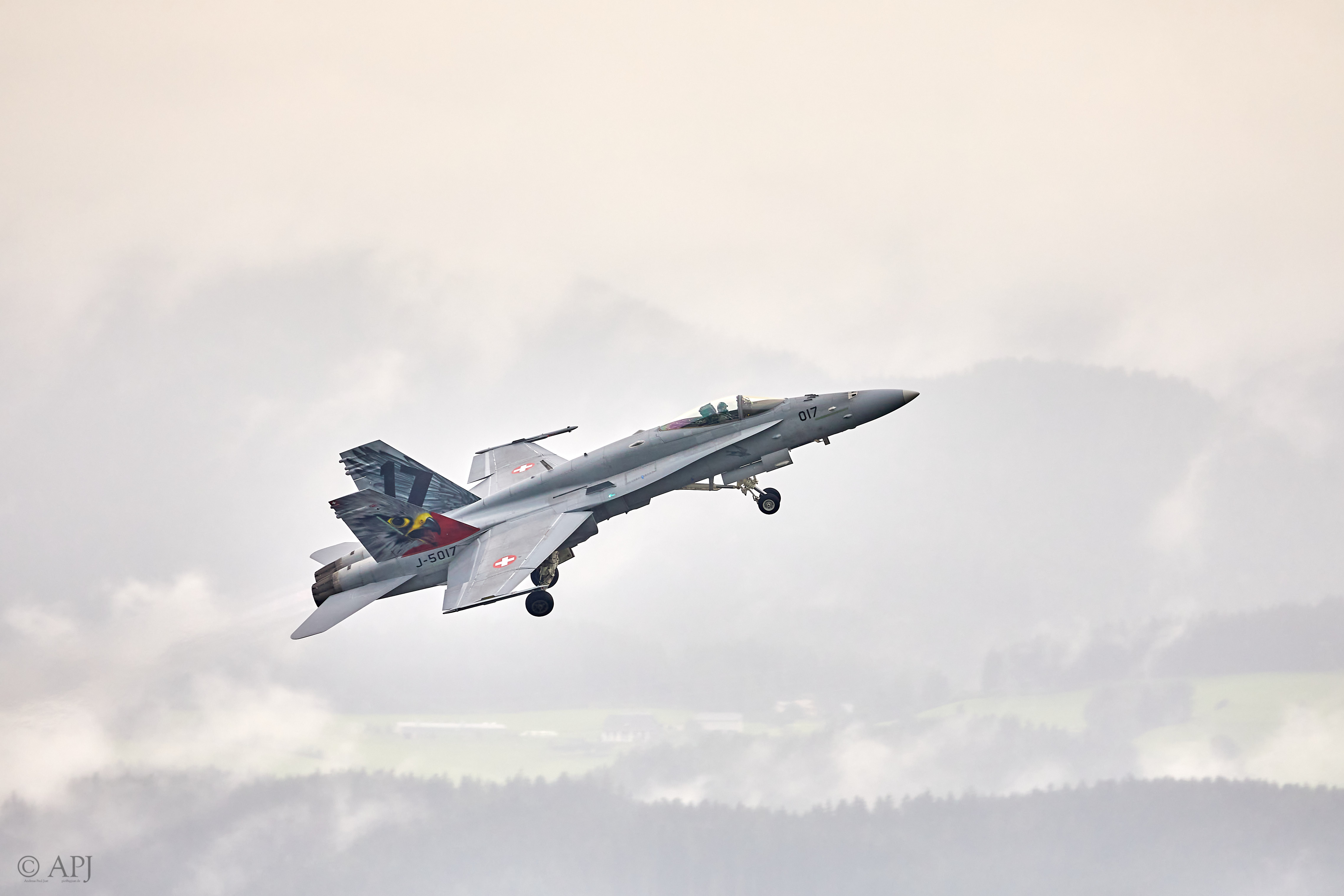1601 APJ 8073 Airpower 2019