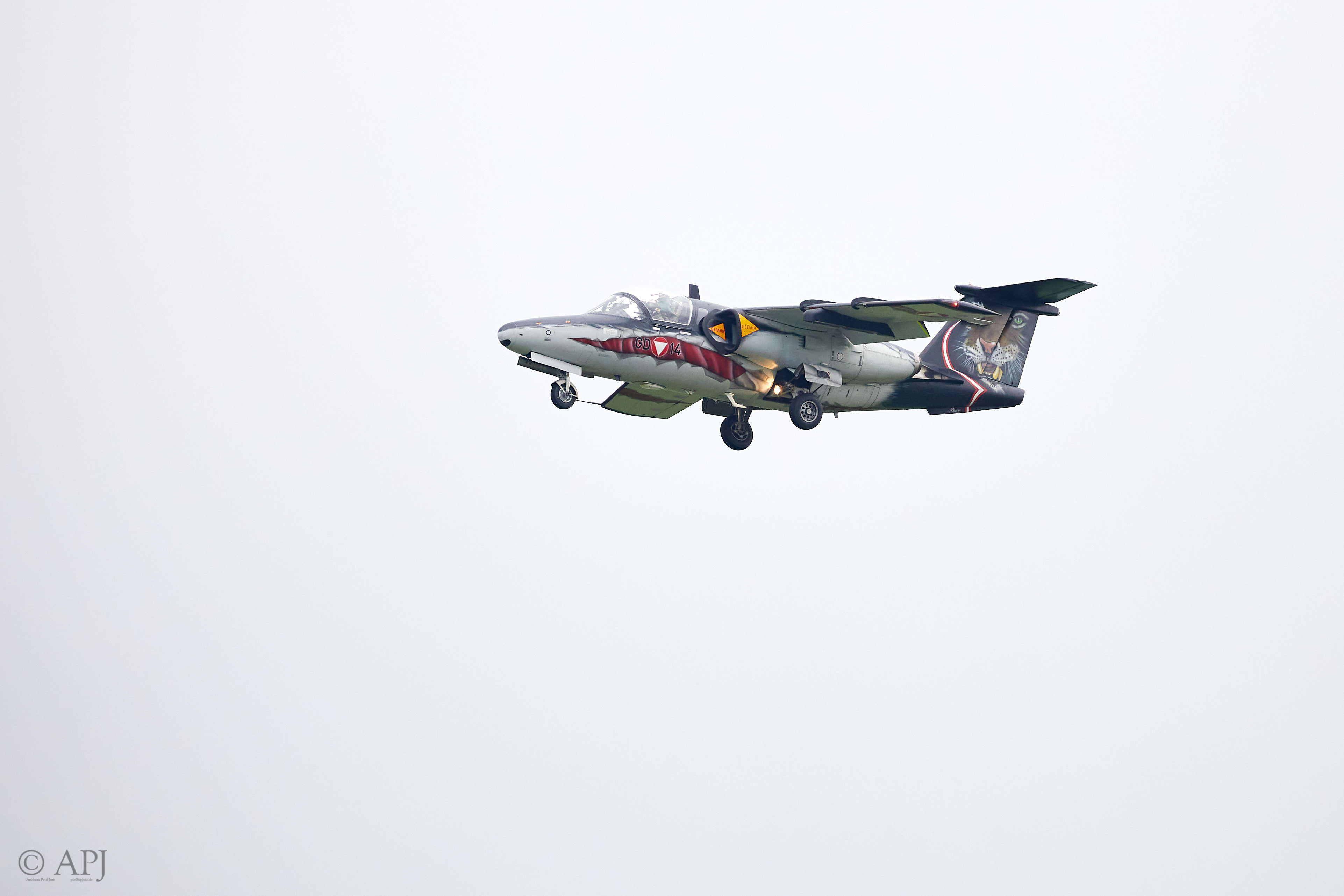 2266 APJ 8739 Airpower 2019