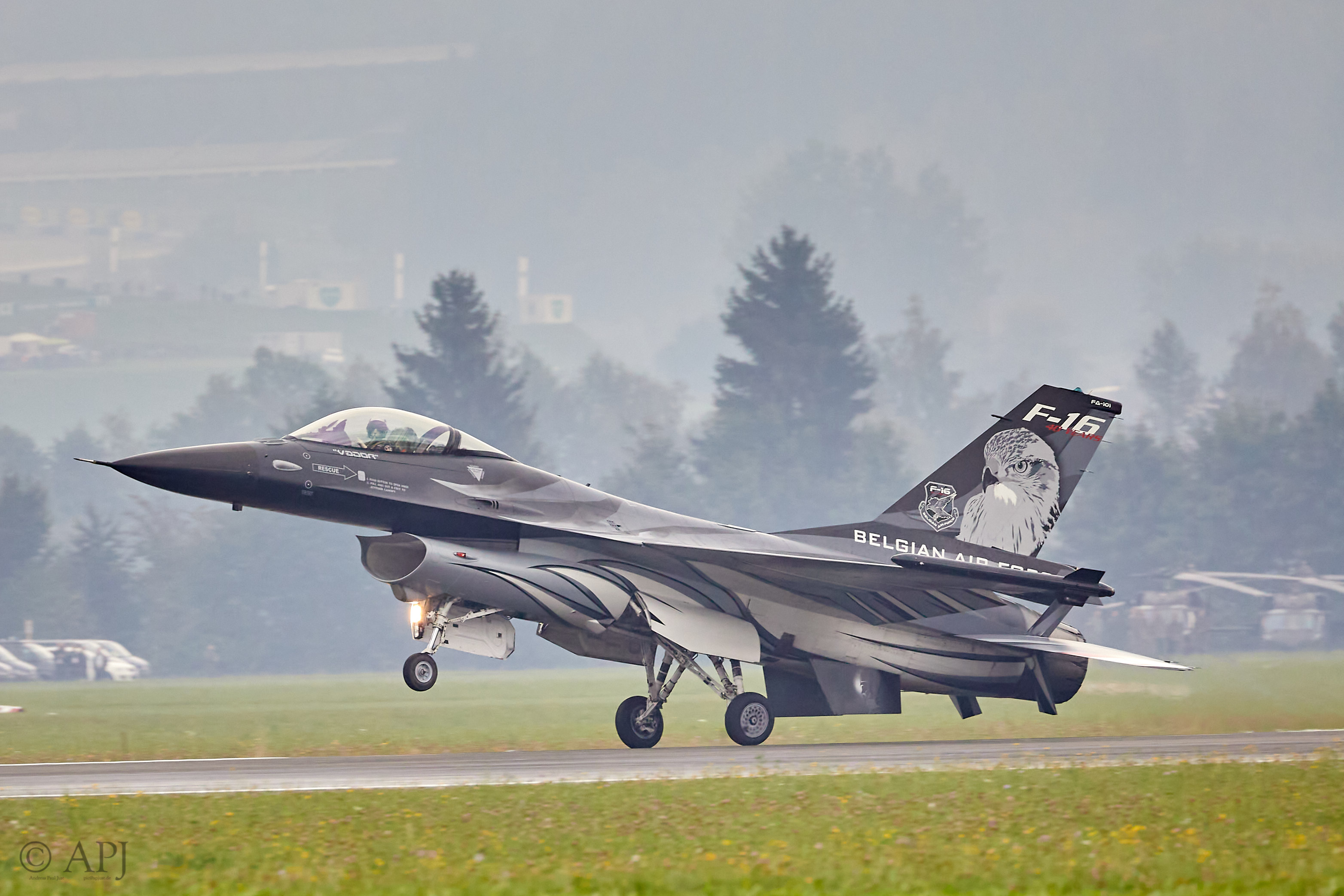 2890 APJ 9363 Airpower 2019