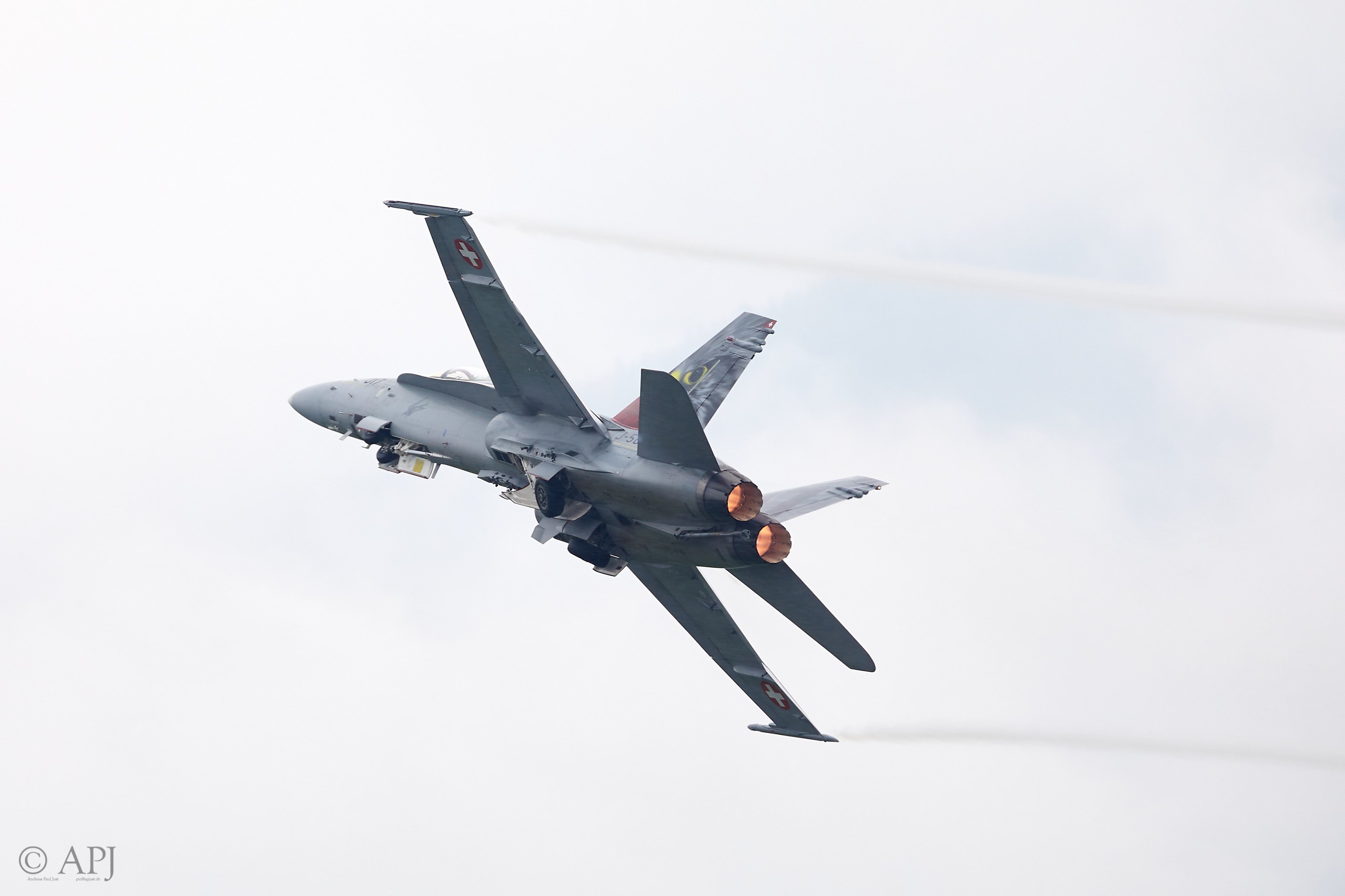 295 APJ 0295 Airpower 2019
