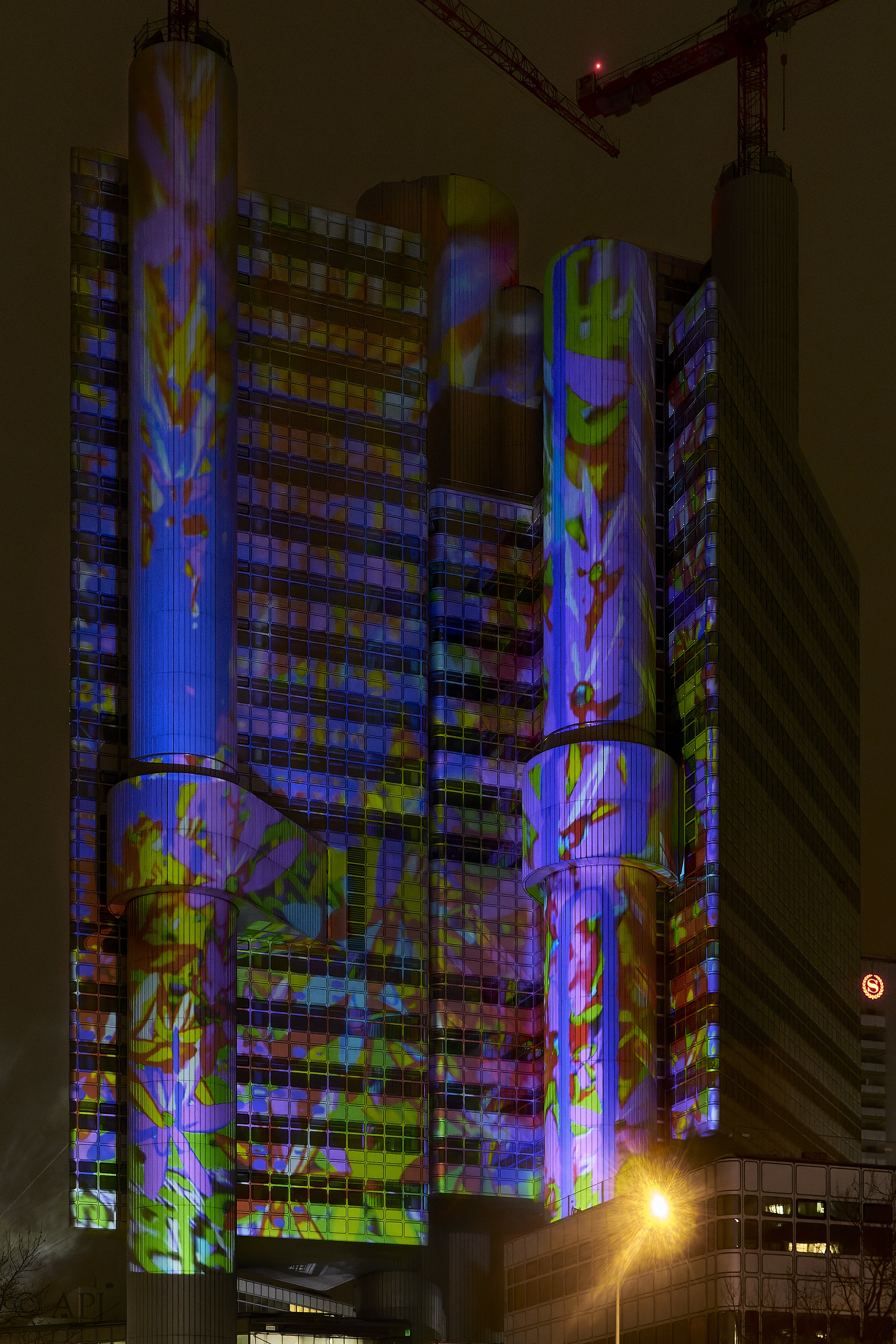 004 IMG 7753 dng DXO