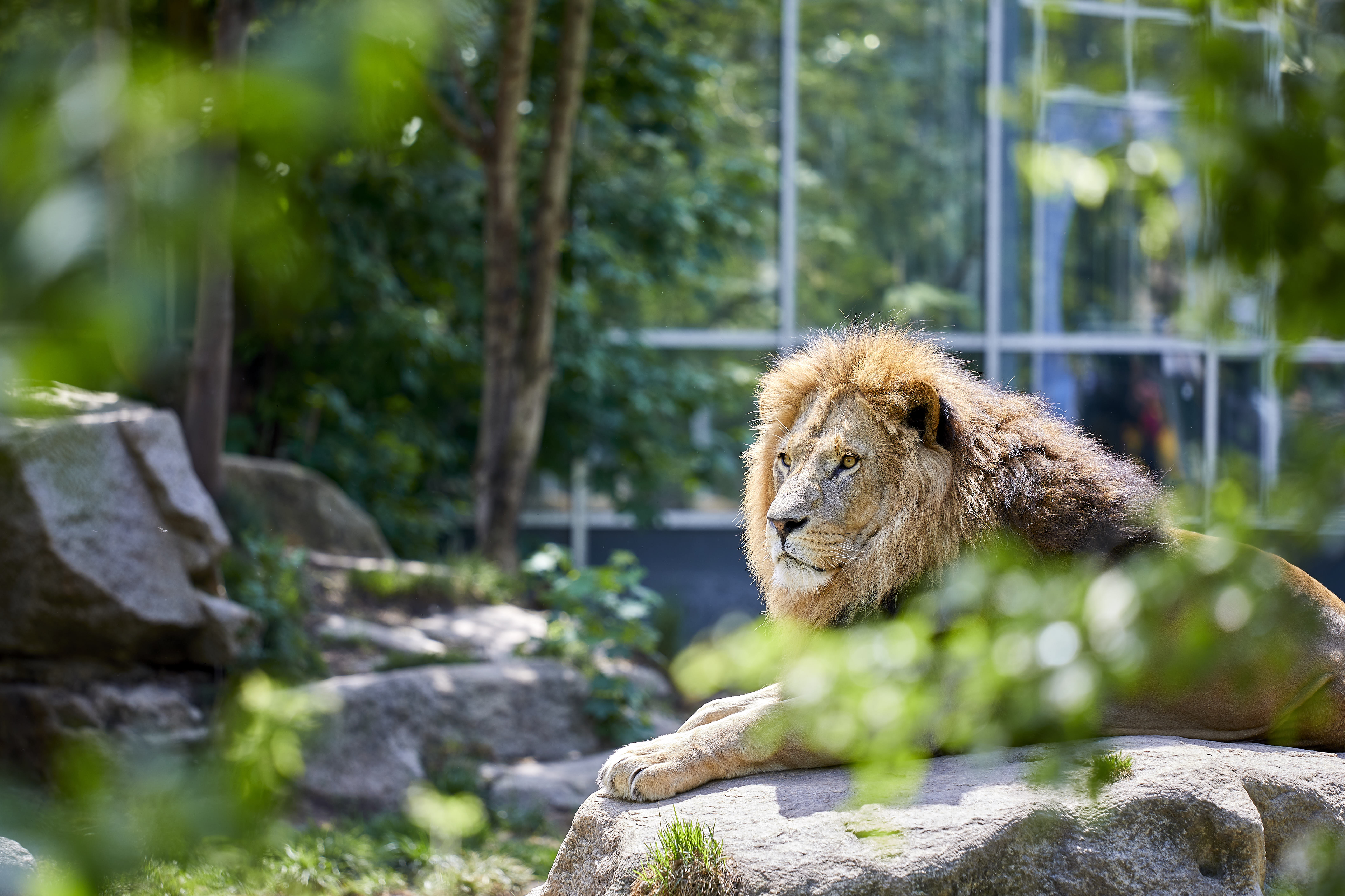 Tierpark Hellabrunn und Wildpark Poing