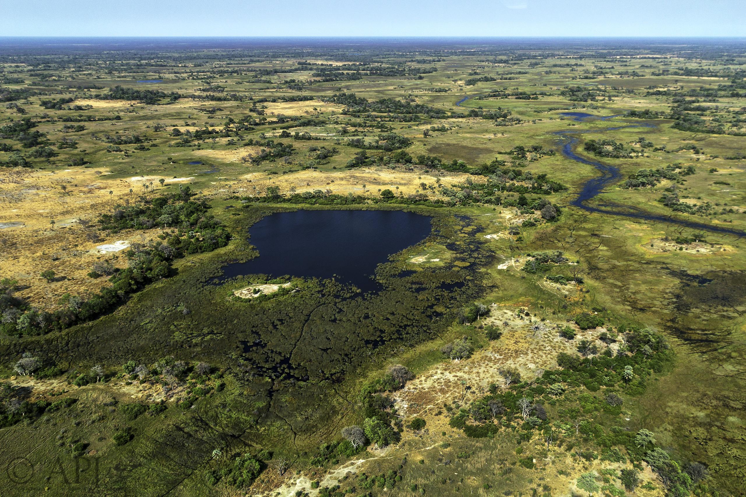 136 APJ IMG 8388 mod