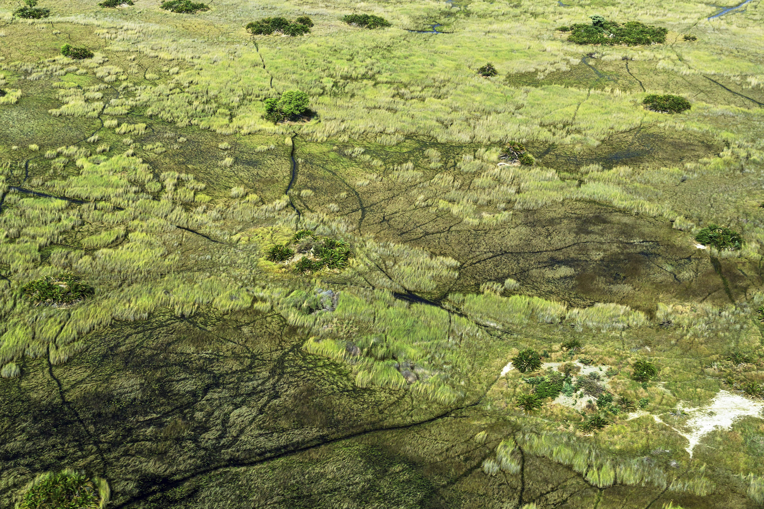 140 APJ IMG 8426 mod