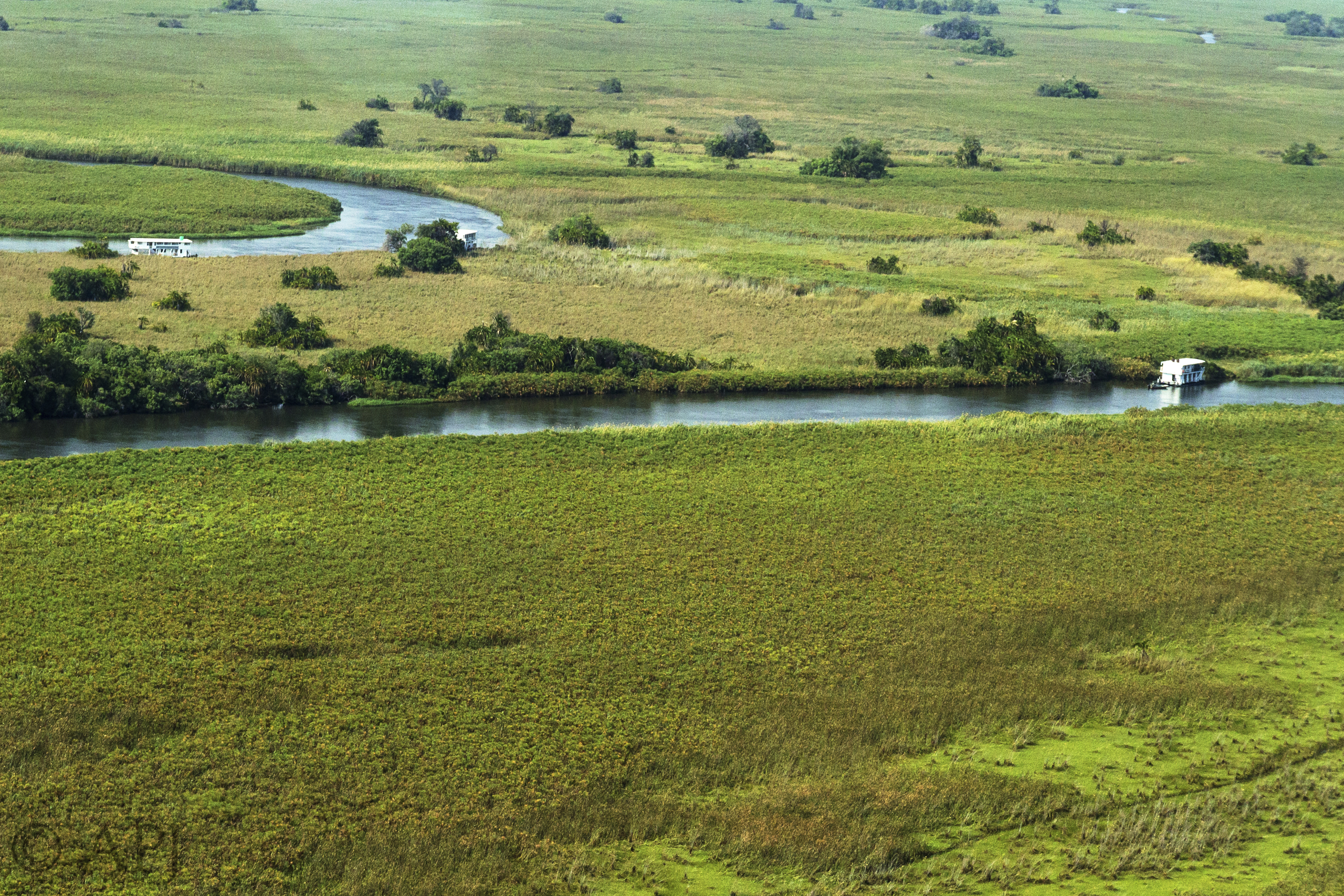 145 APJ IMG 8551 mod