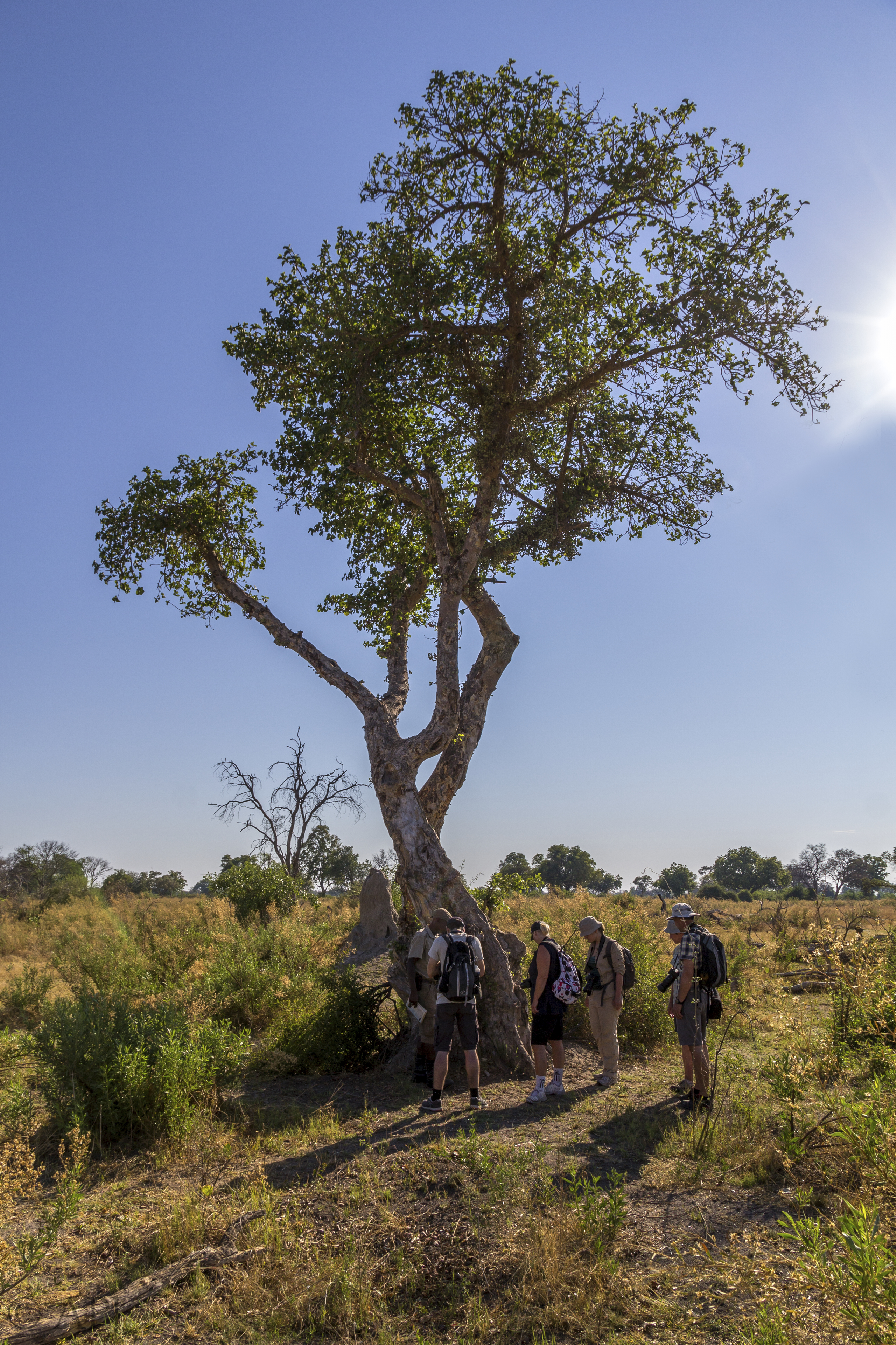 228 APJ IMG 9679 mod