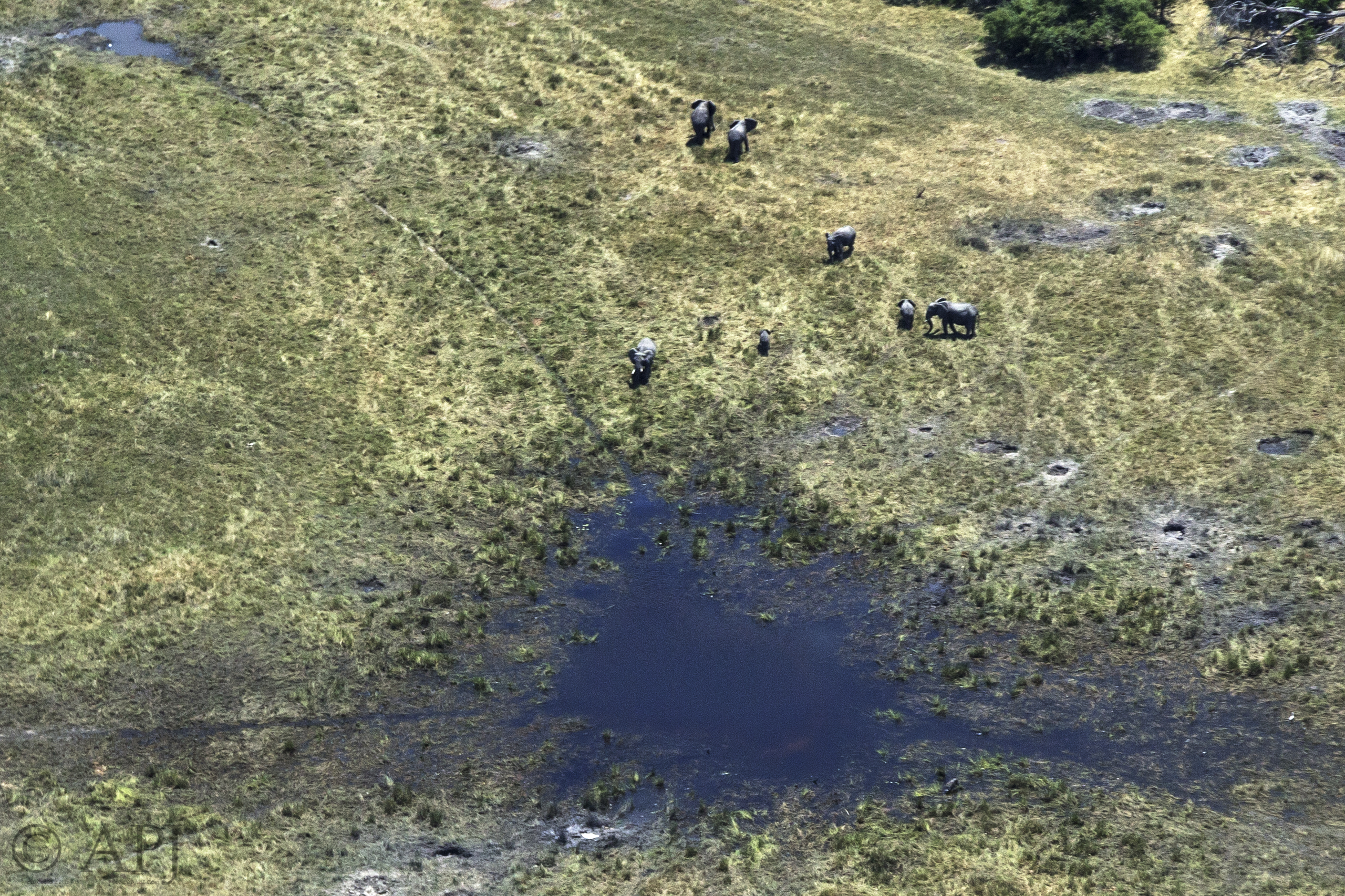 284 APJ IMG 0450 mod