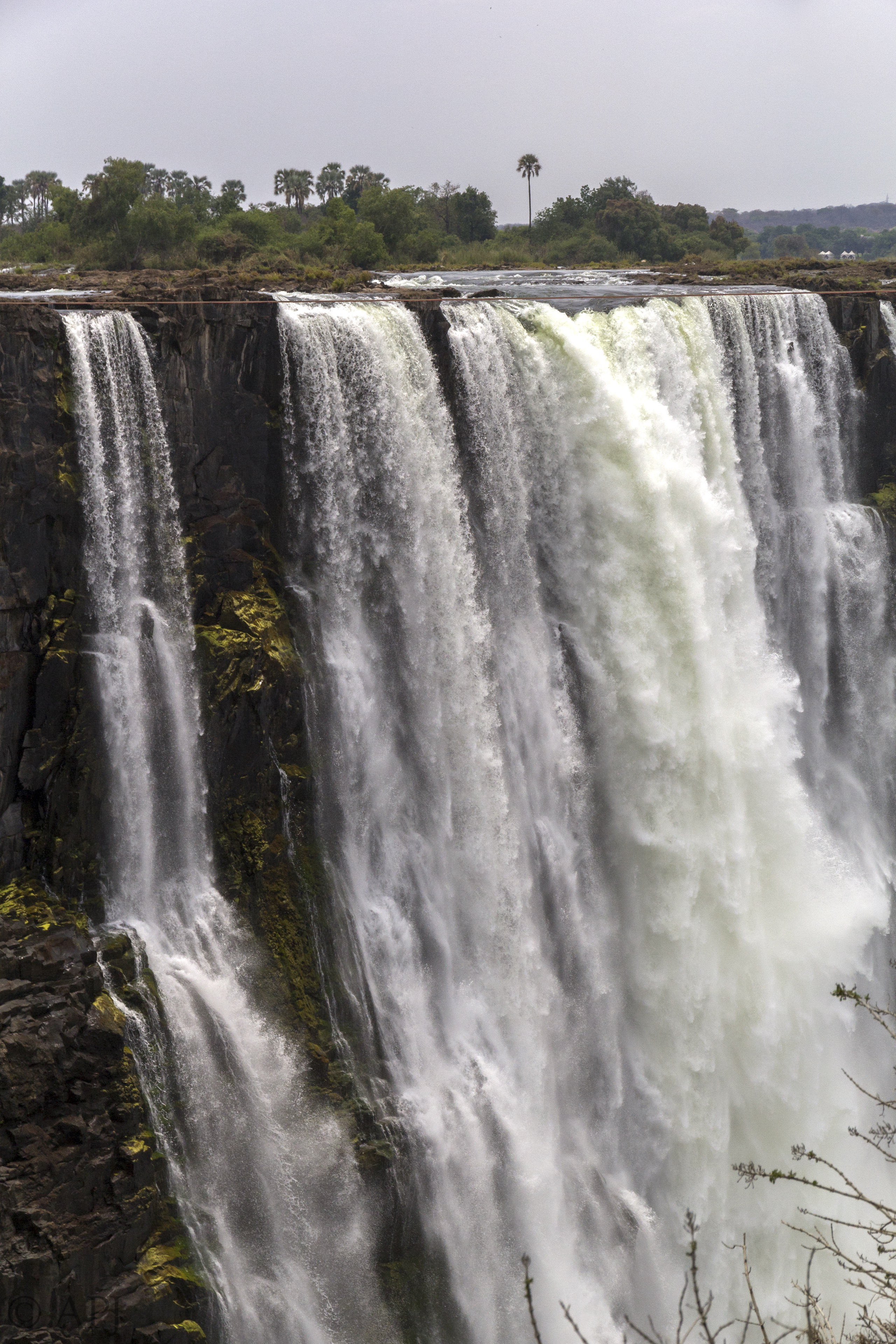 531 APJ IMG 3933 mod