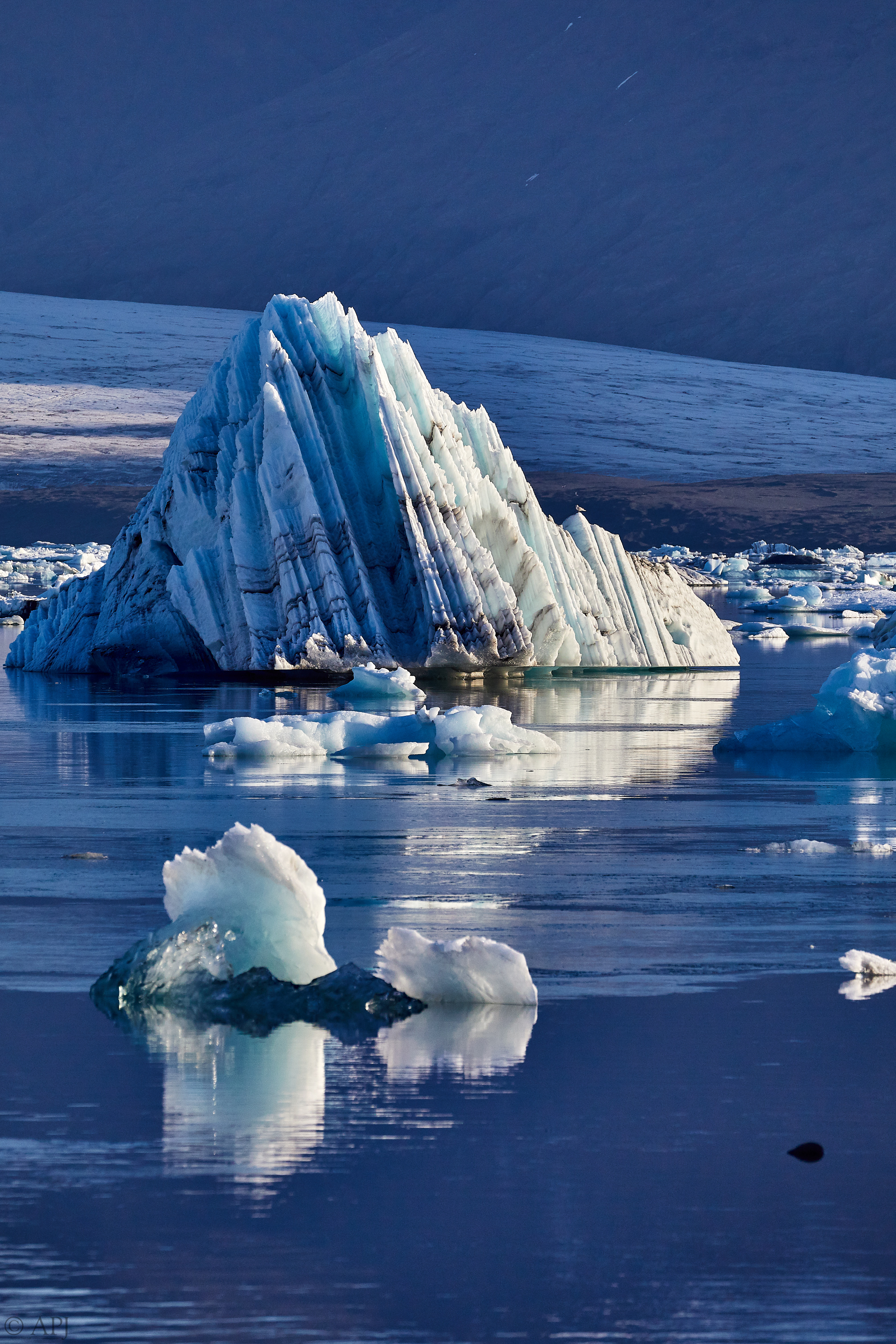 1434  073053000741 APJ 5772