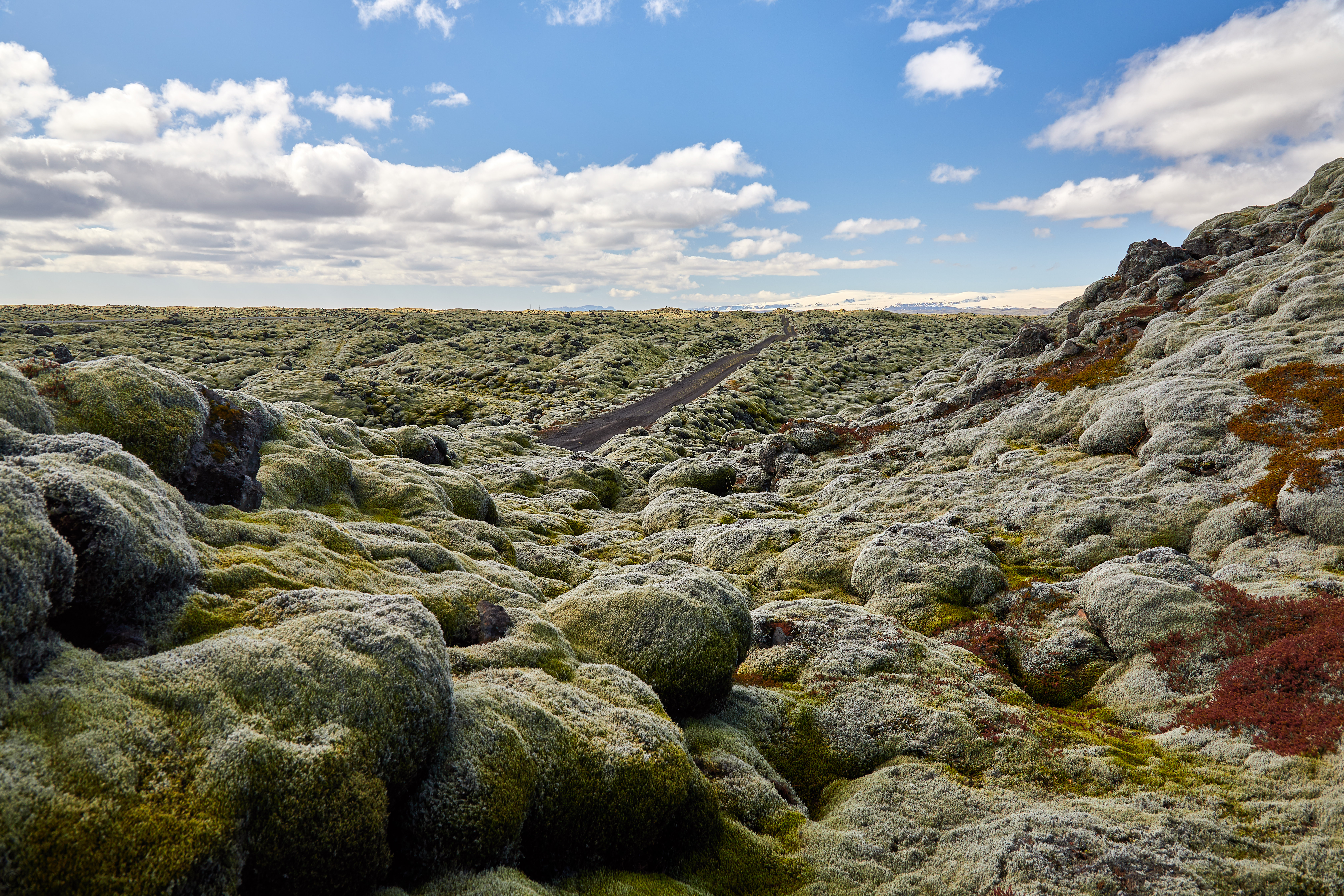 1659  073053000741 APJ 6000