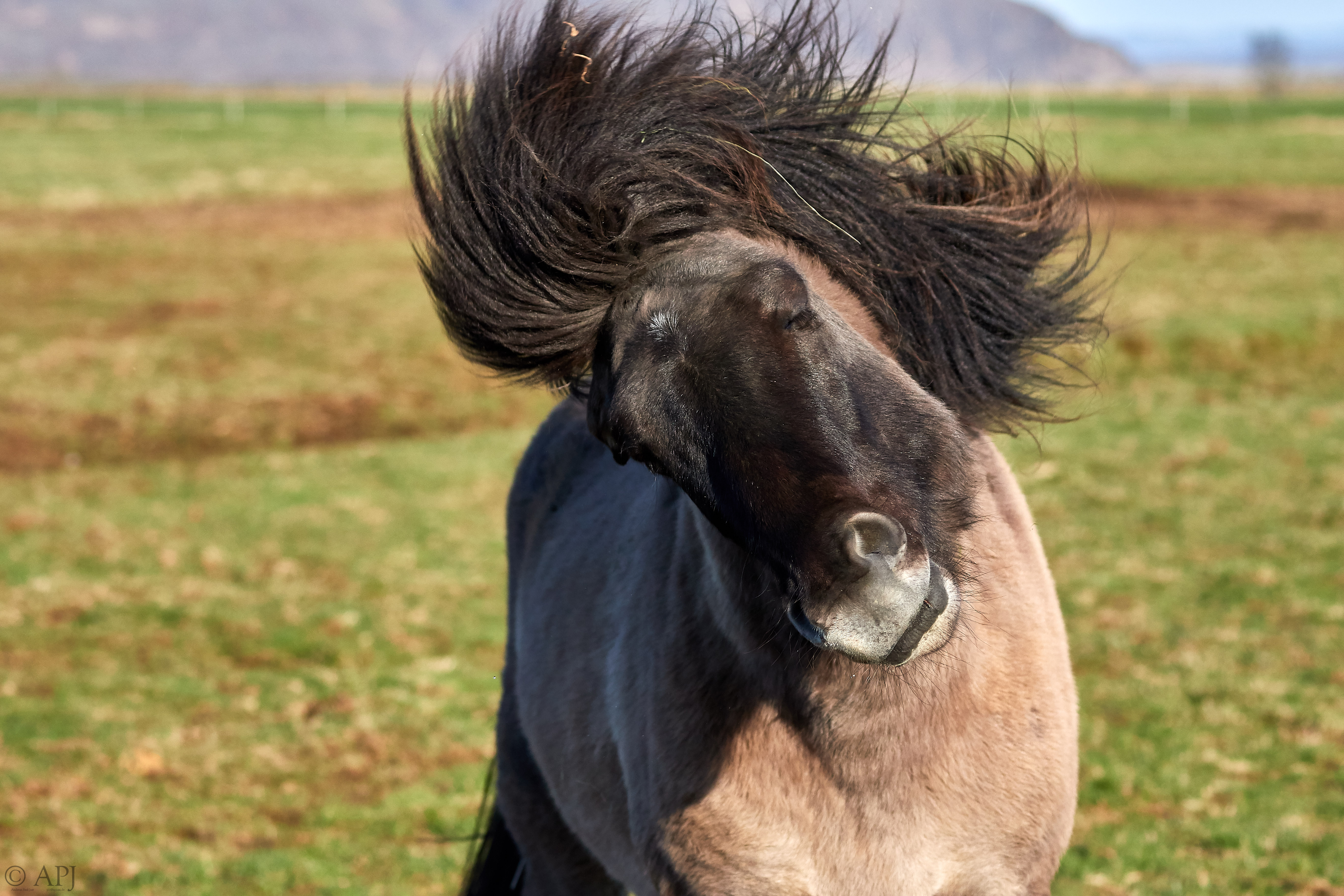 1836  133053000965 APJ 3904