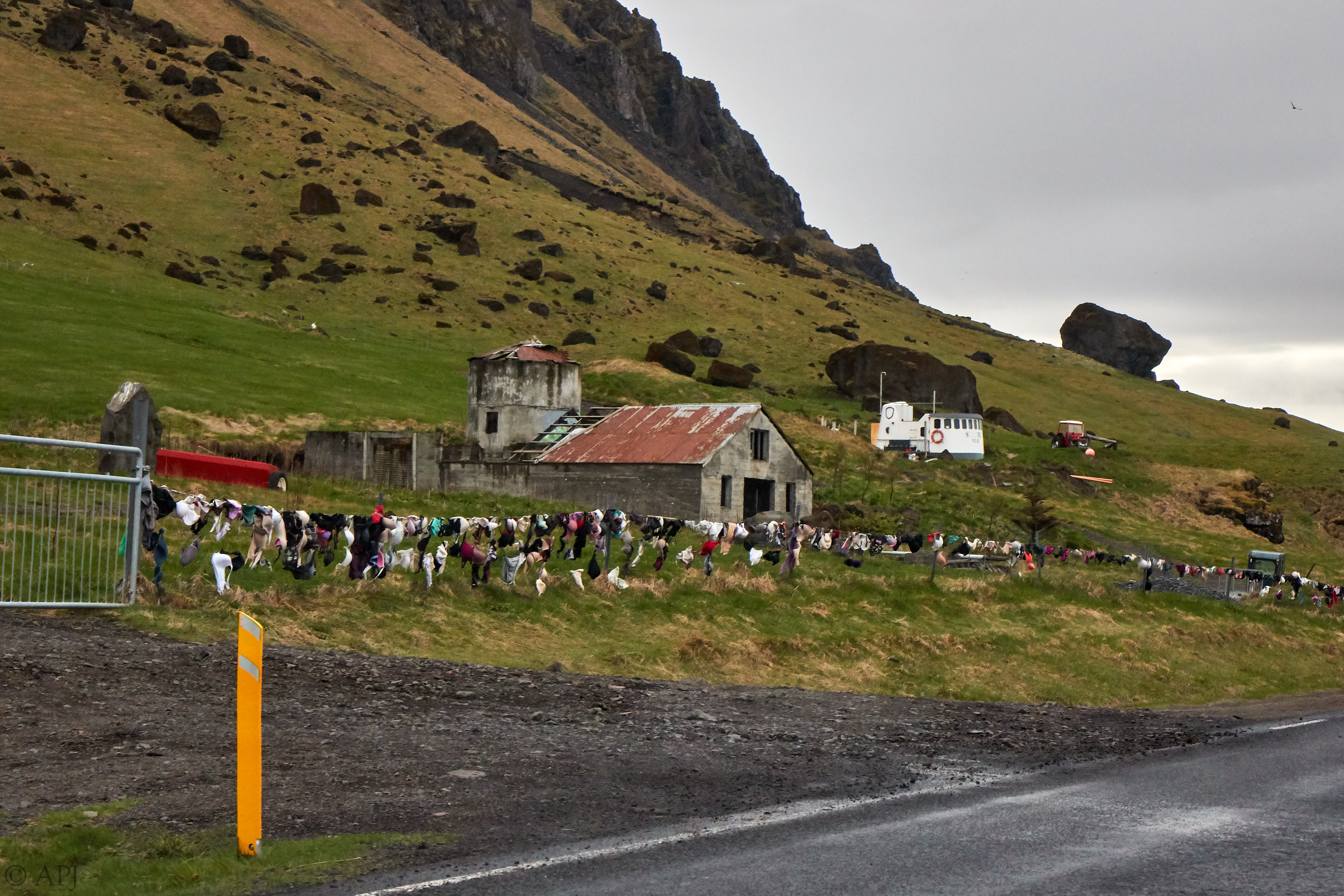 1859  133053000965 APJ 3928