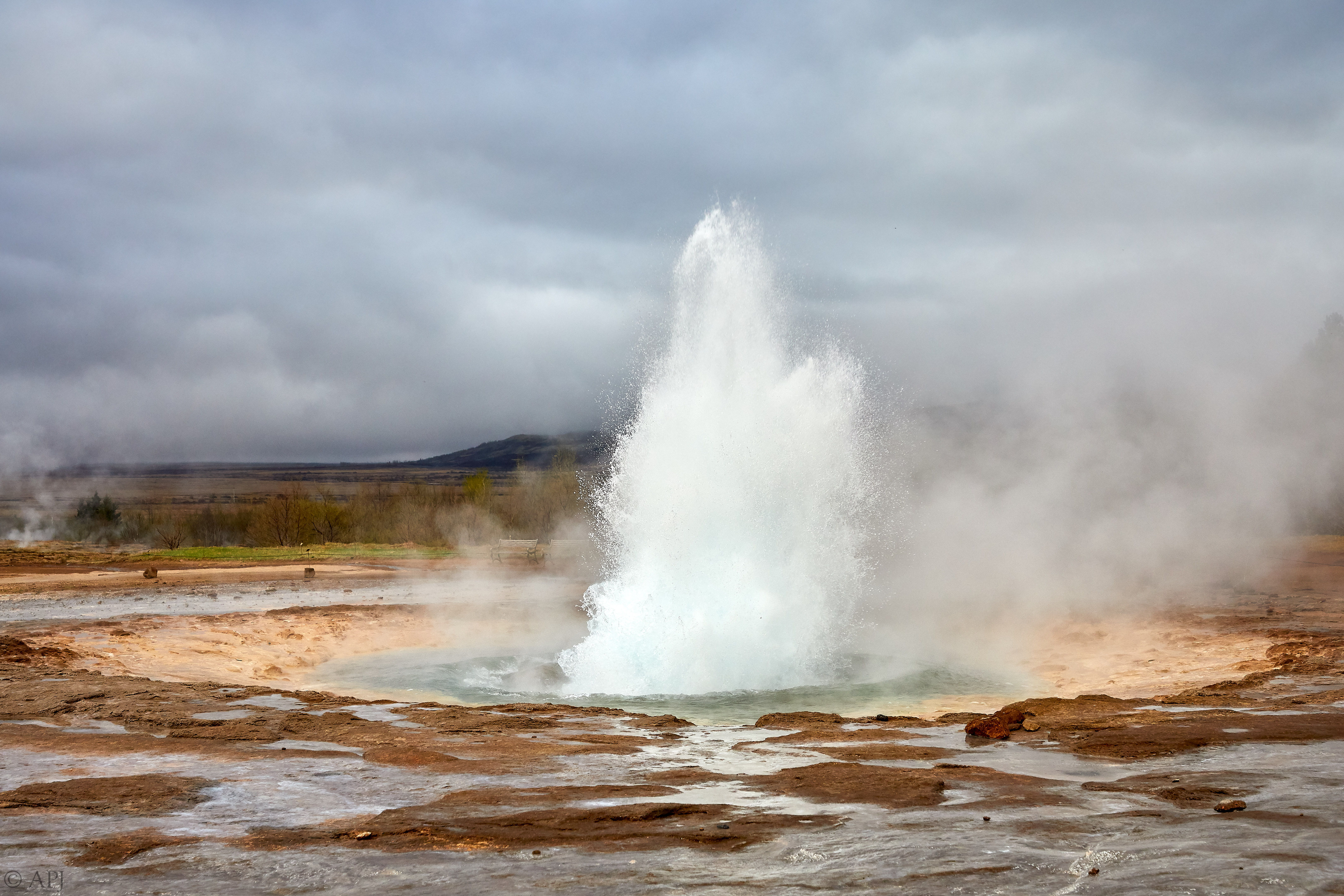 305  073053000741 APJ 4639