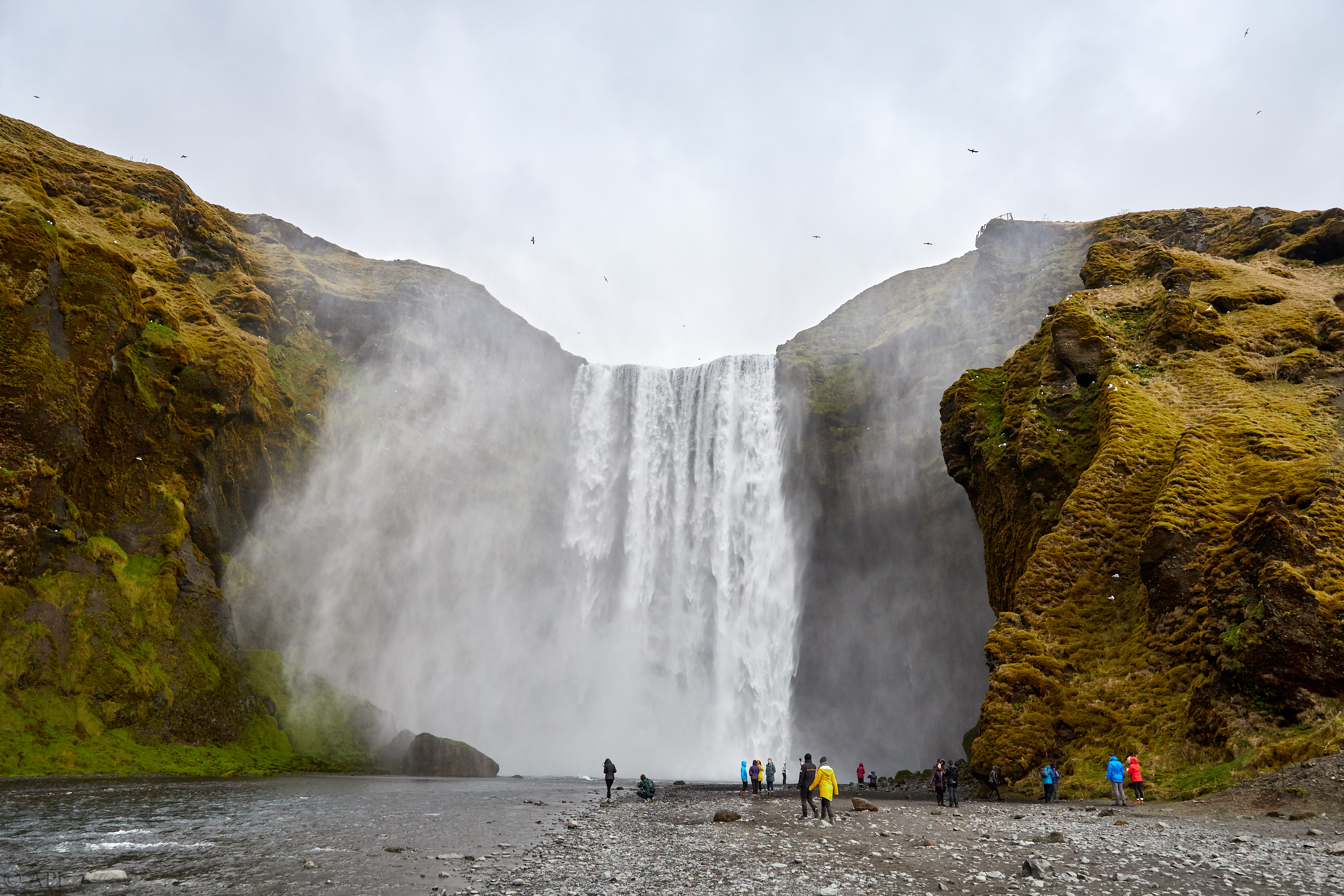 535  073053000741 APJ 4871