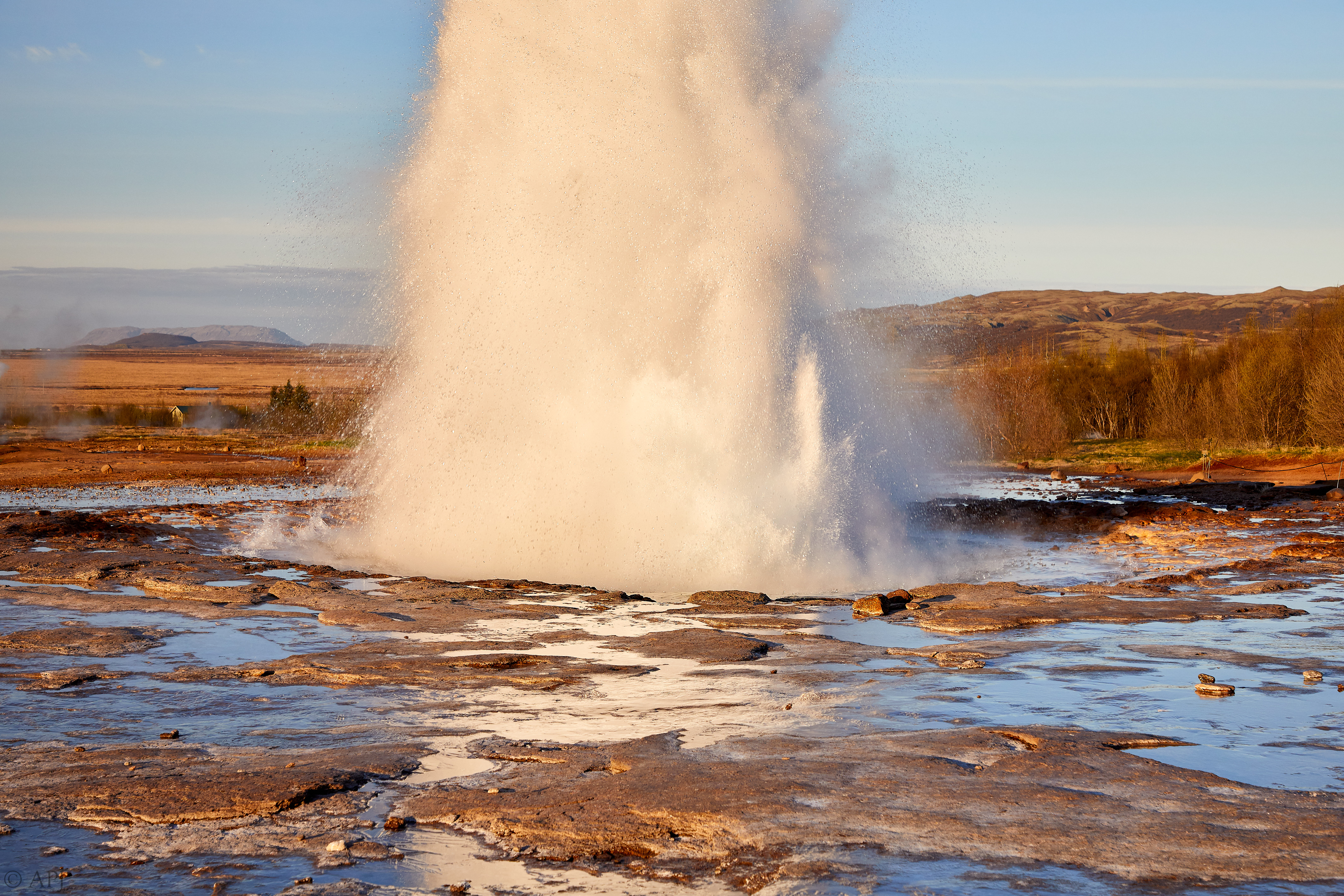 981  073053000741 APJ 5317