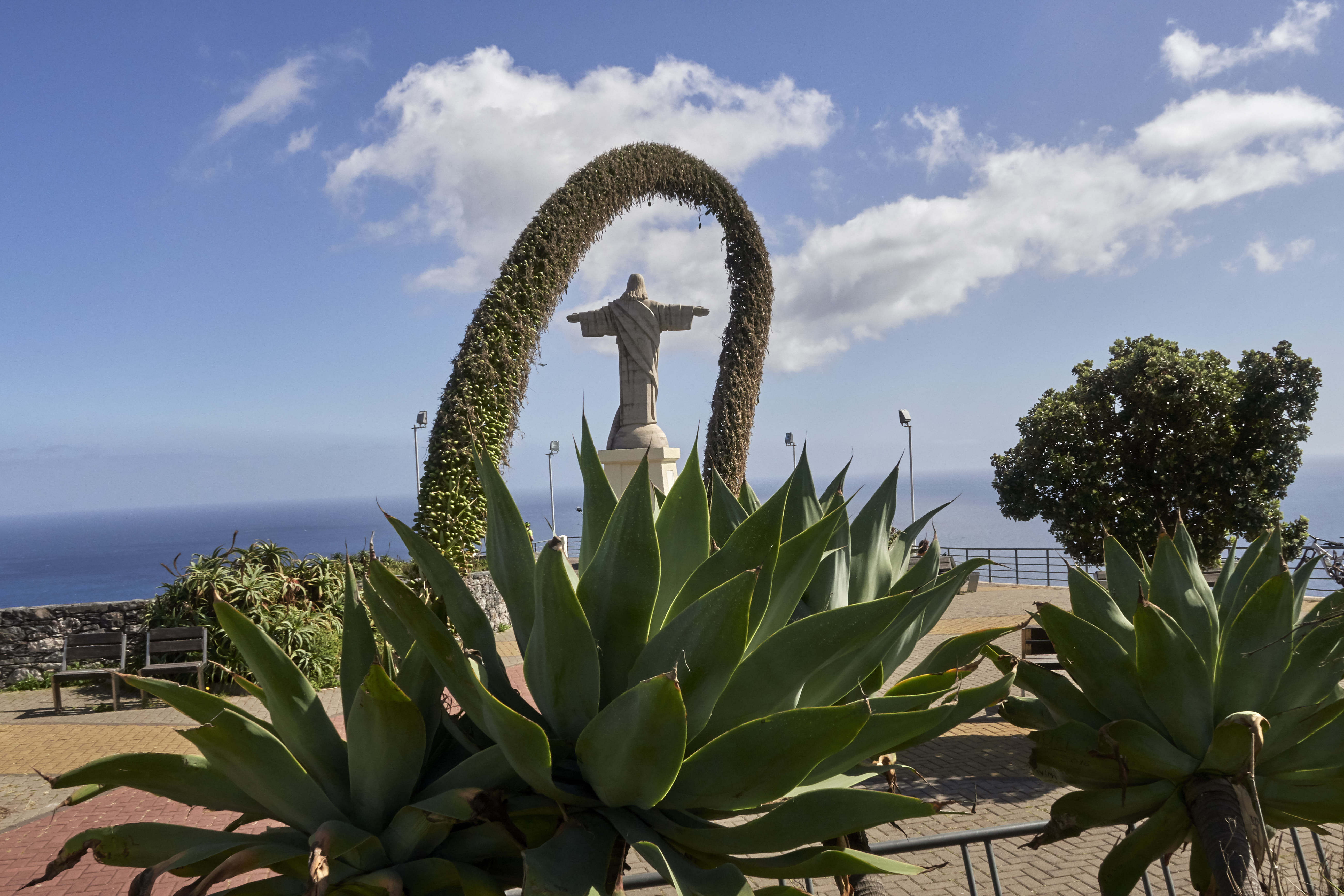0365  Urlaub Madeira 032018