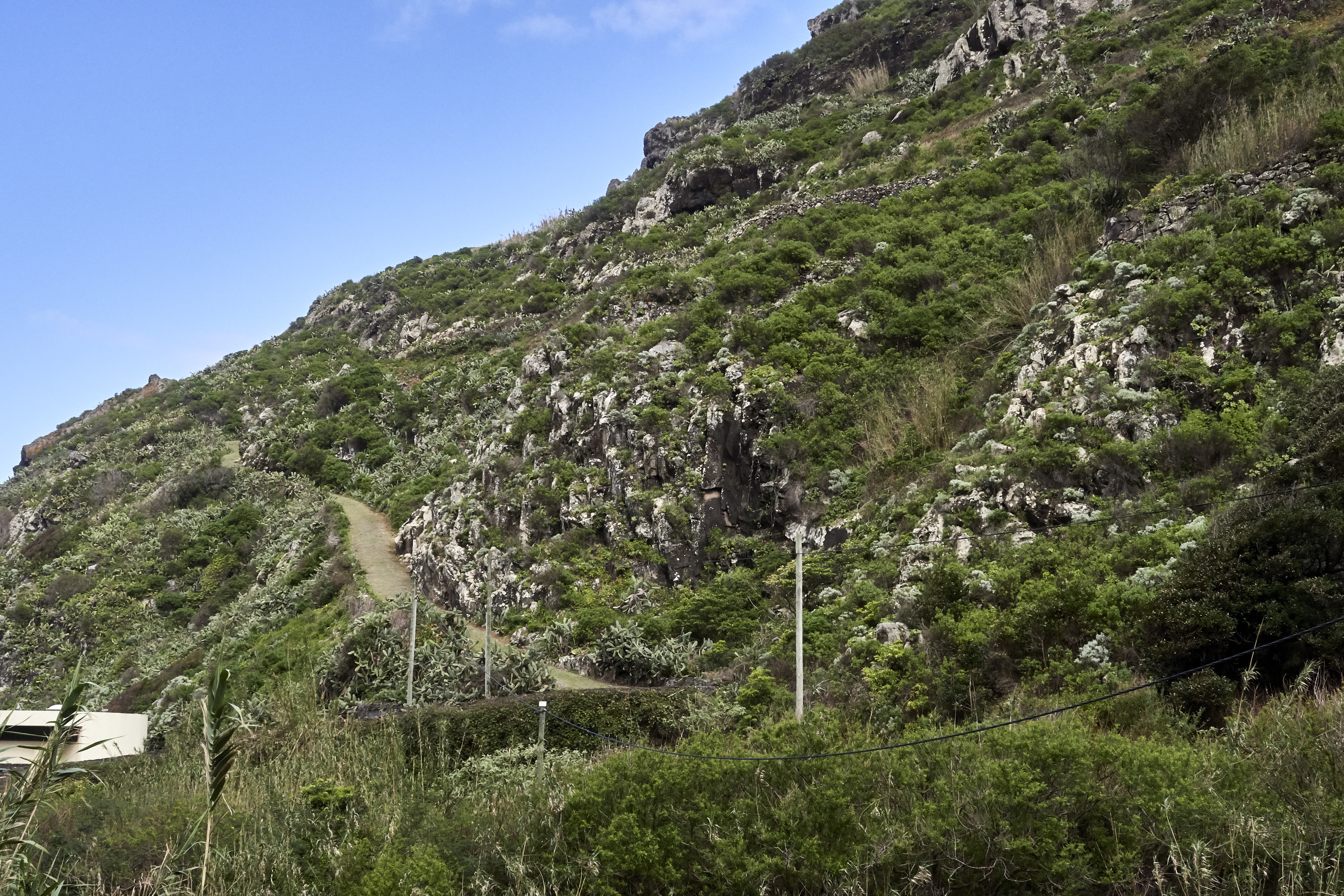 0393  Urlaub Madeira 032018