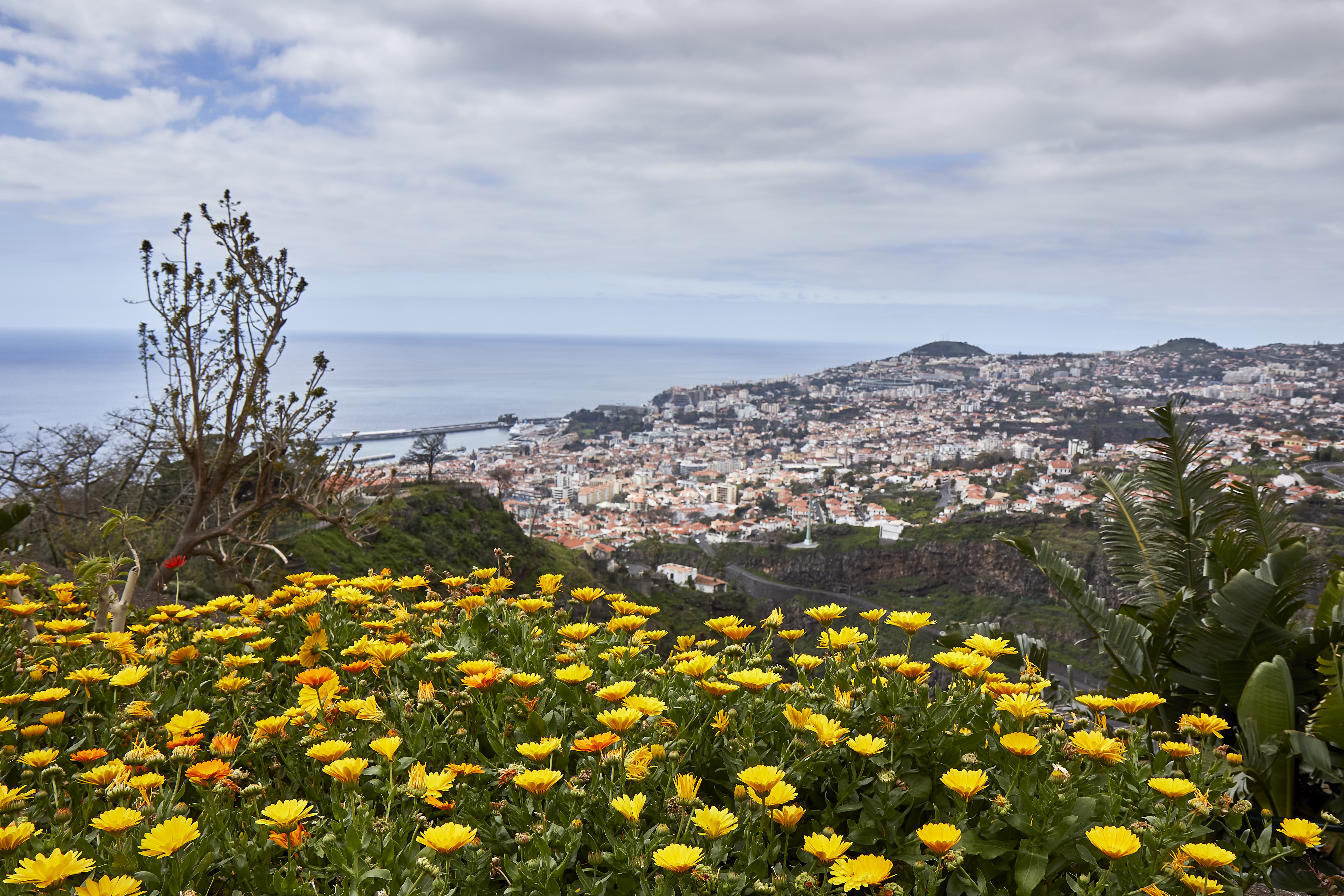 0399  Urlaub Madeira 032018