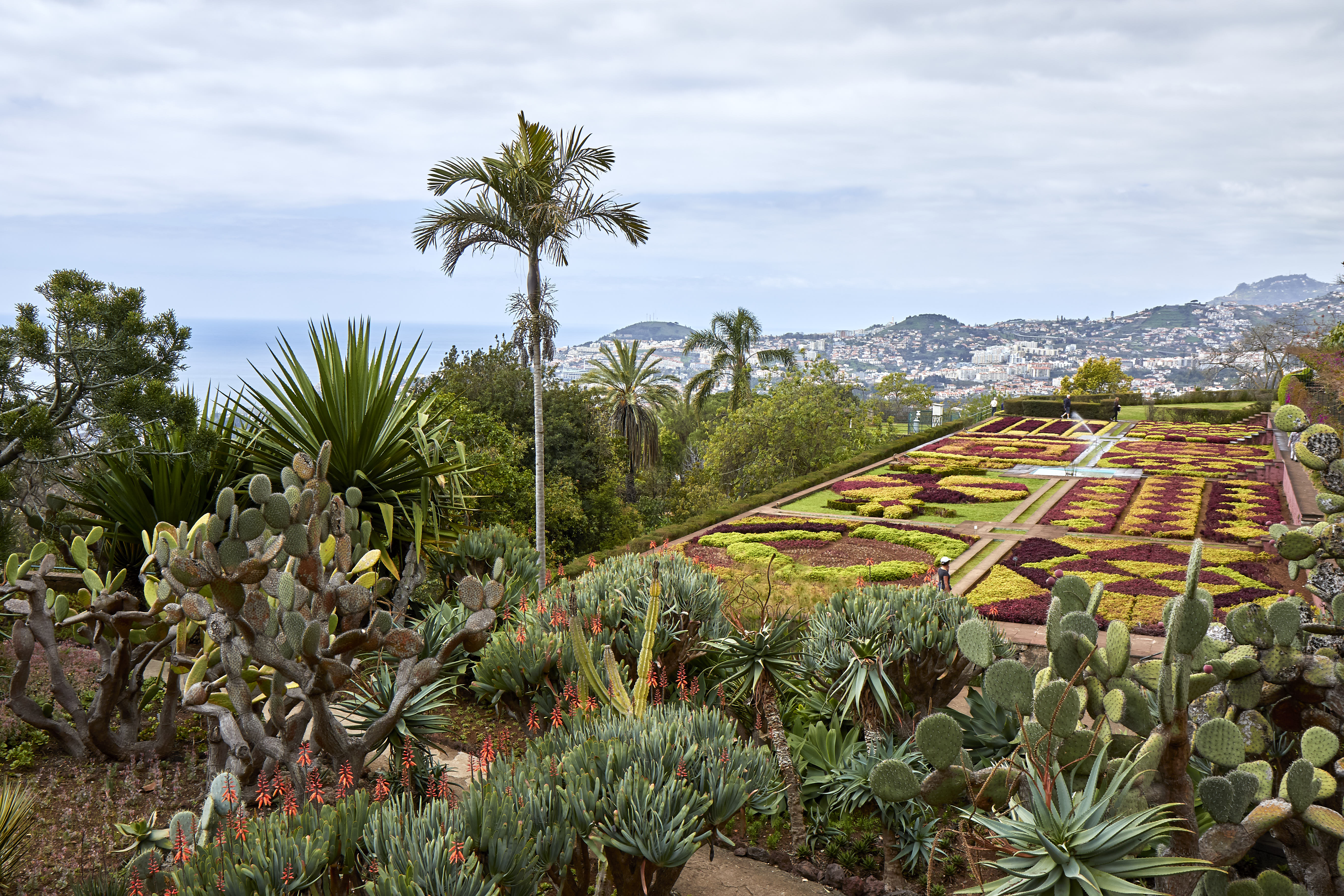 0406  Urlaub Madeira 032018