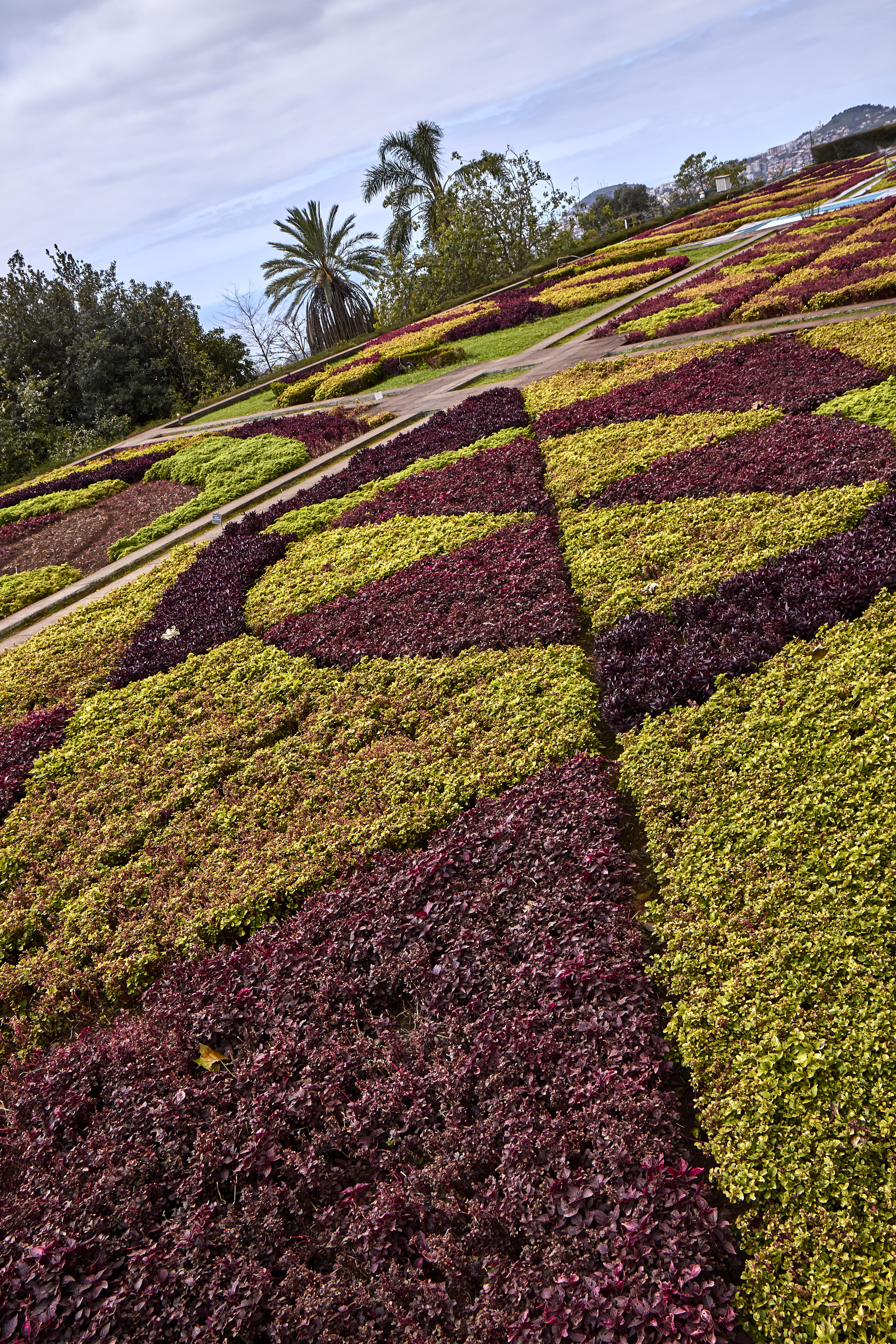 0410  Urlaub Madeira 032018