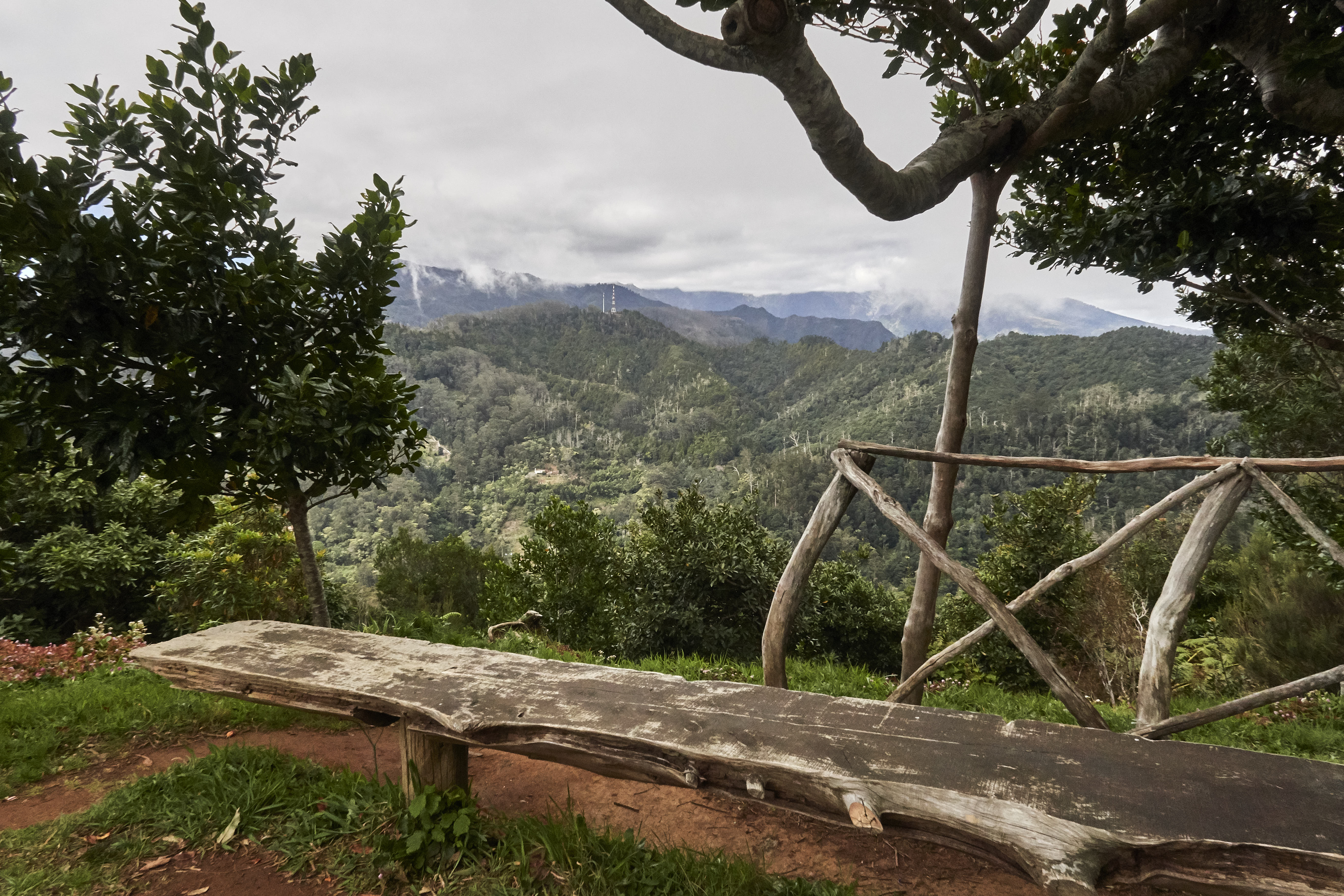 0441  Urlaub Madeira 032018