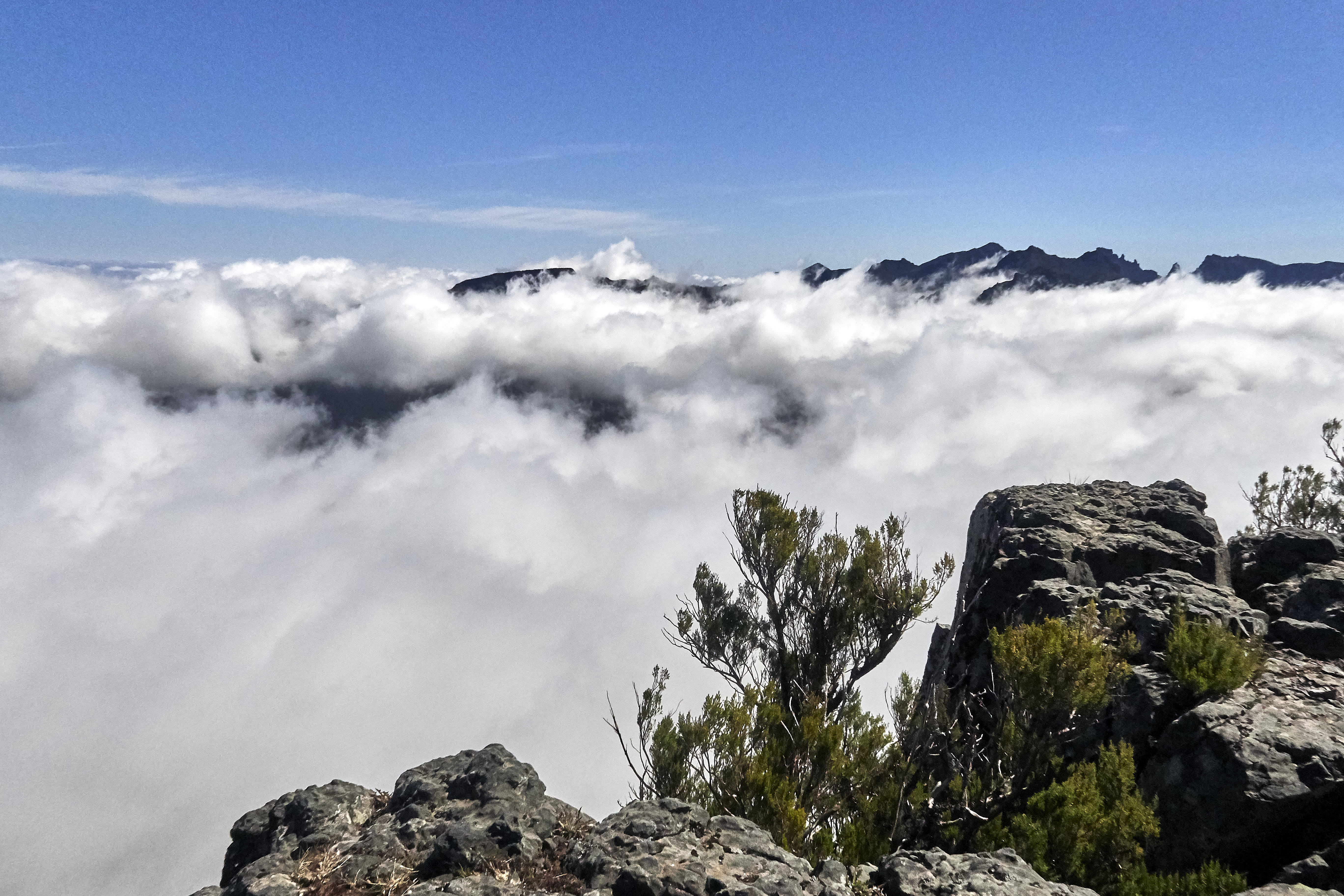 0474  Urlaub Madeira 032018