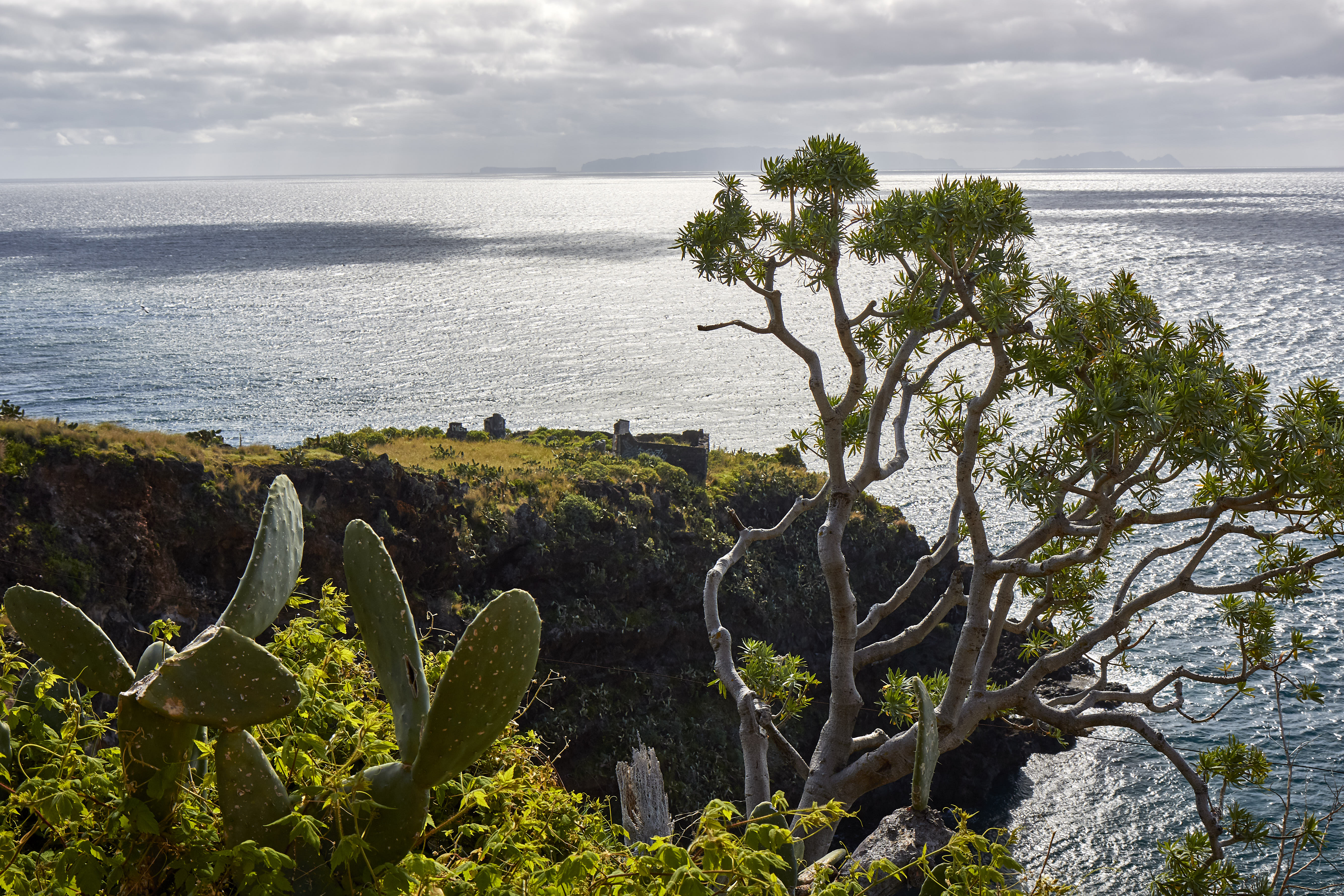 0543  Urlaub Madeira 032018
