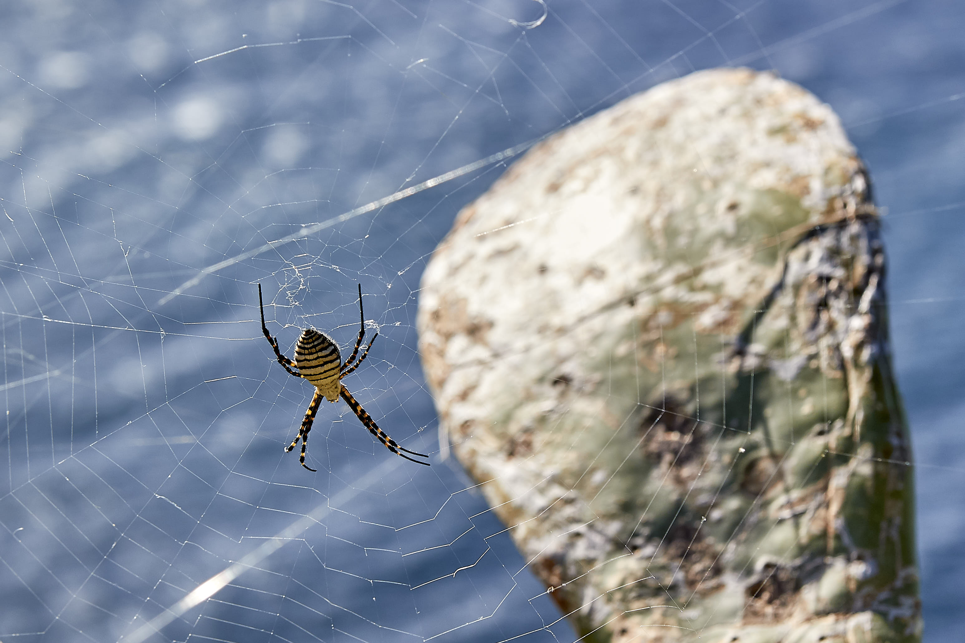 0548  Urlaub Madeira 032018