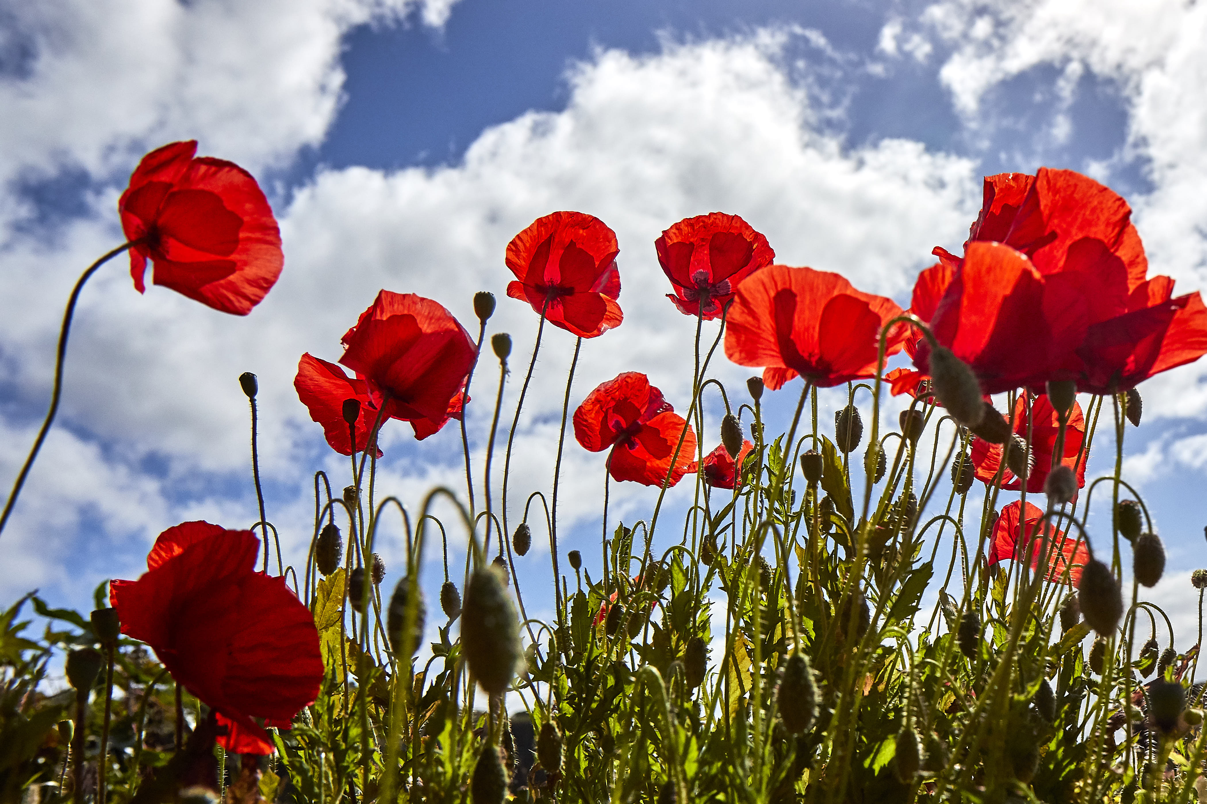 0571  Urlaub Madeira 032018