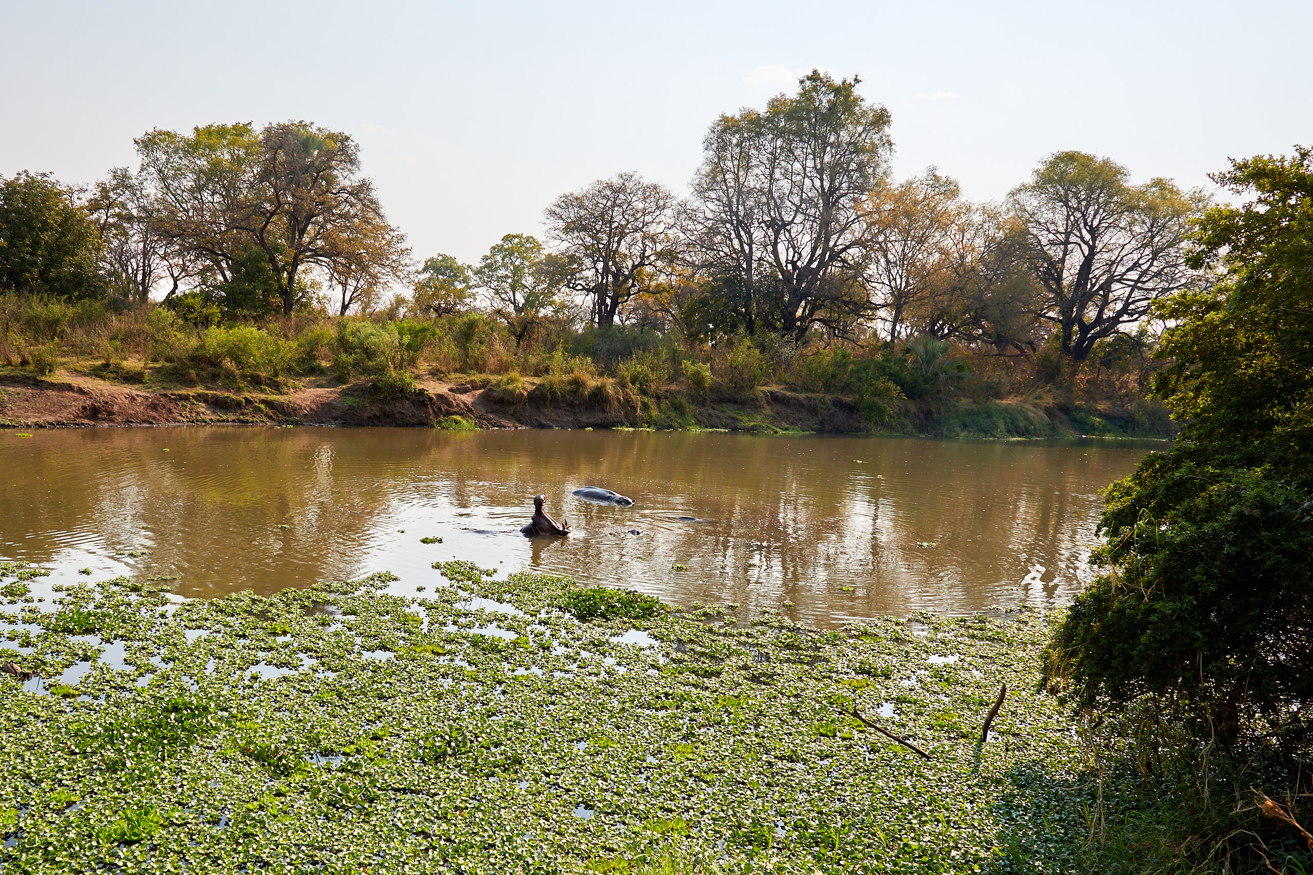 00002 APJ Sambia Malawi 2018 00028