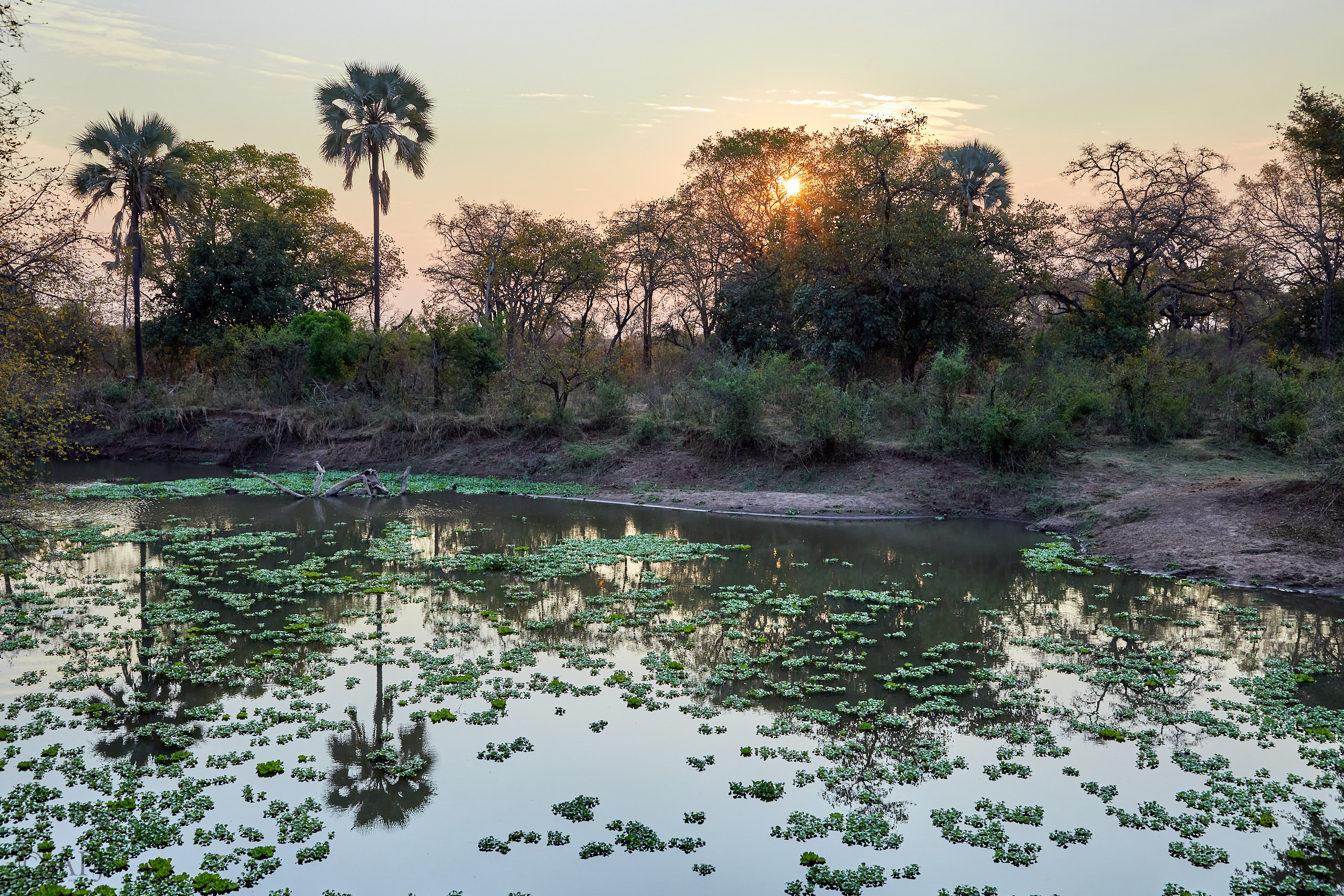 00007 APJ Sambia Malawi 2018 00058