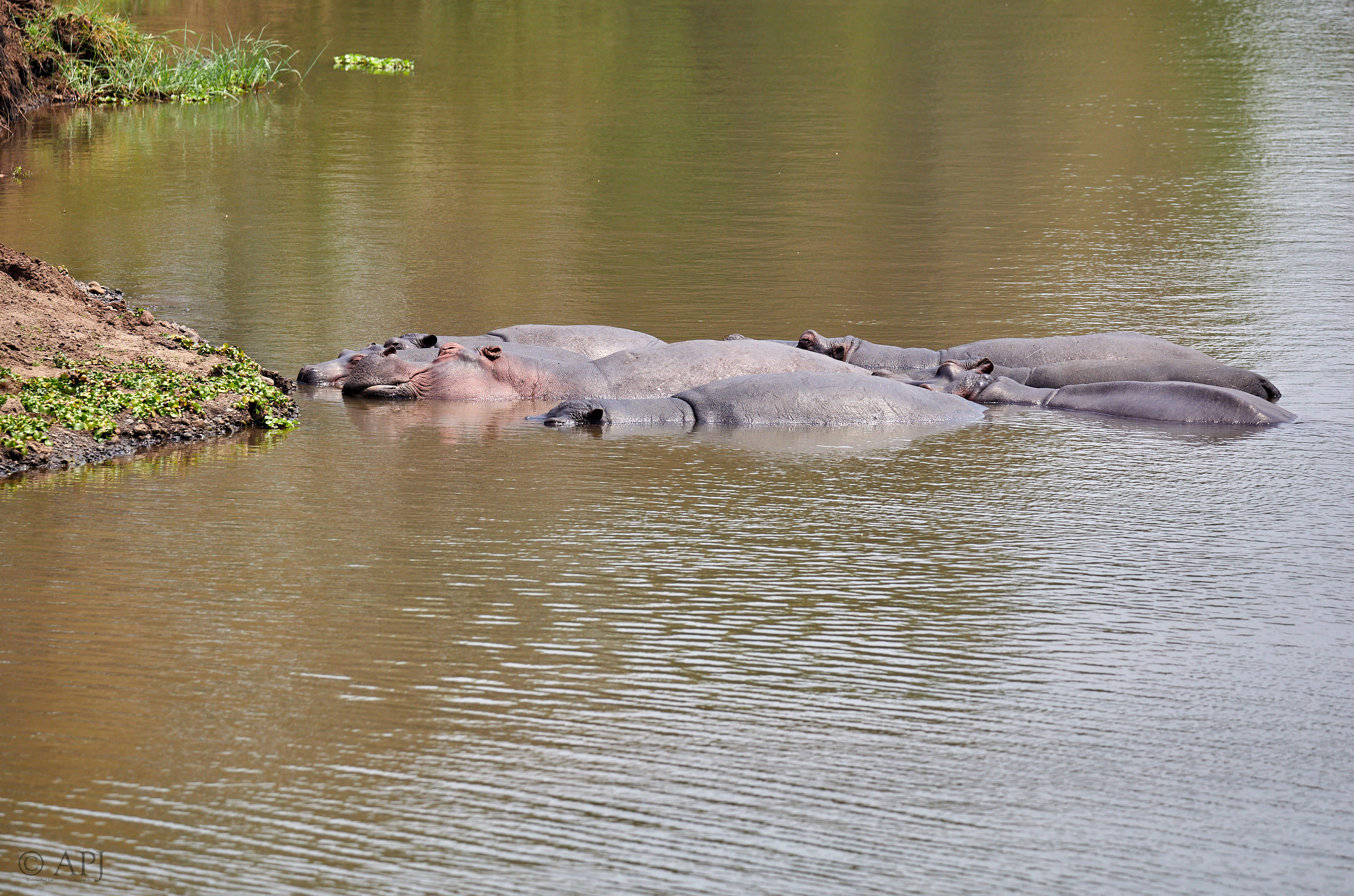 00009 APJ Sambia Malawi 2018 00066