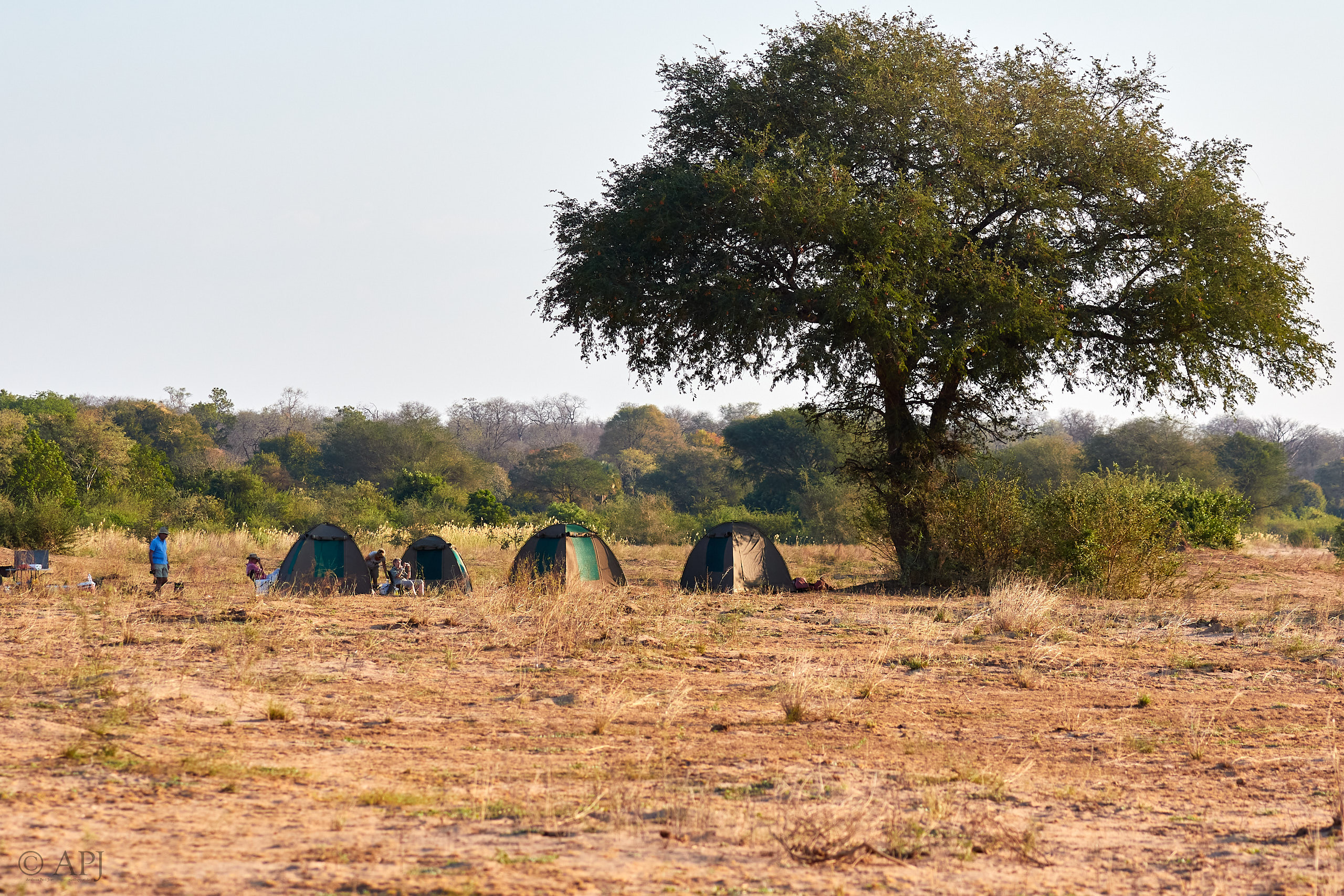 00046 APJ Sambia Malawi 2018 00280