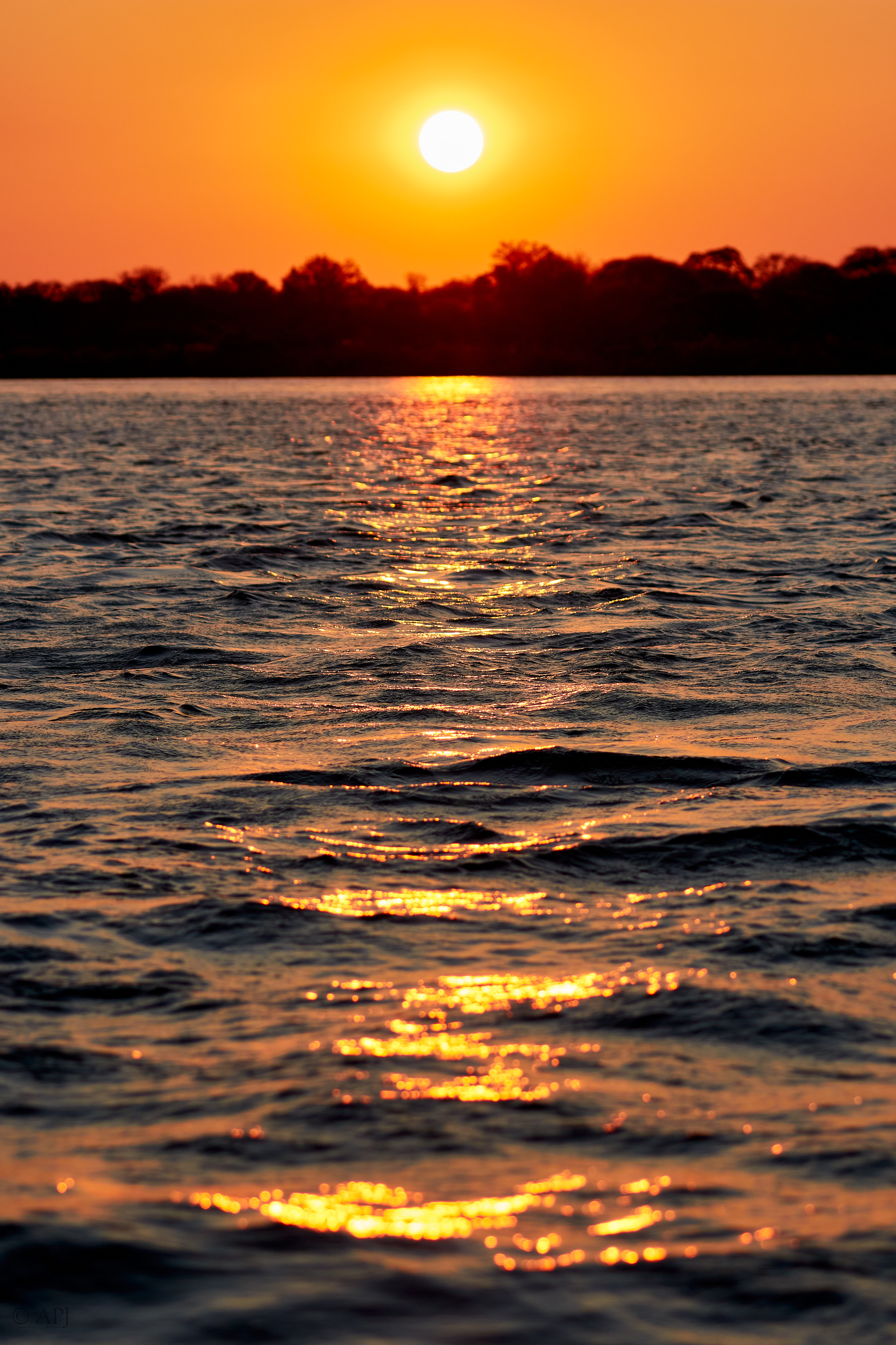 00049 APJ Sambia Malawi 2018 00312