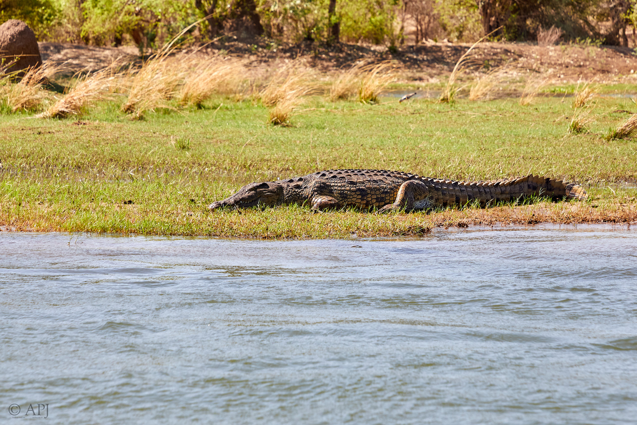 00060 APJ Sambia Malawi 2018 00415