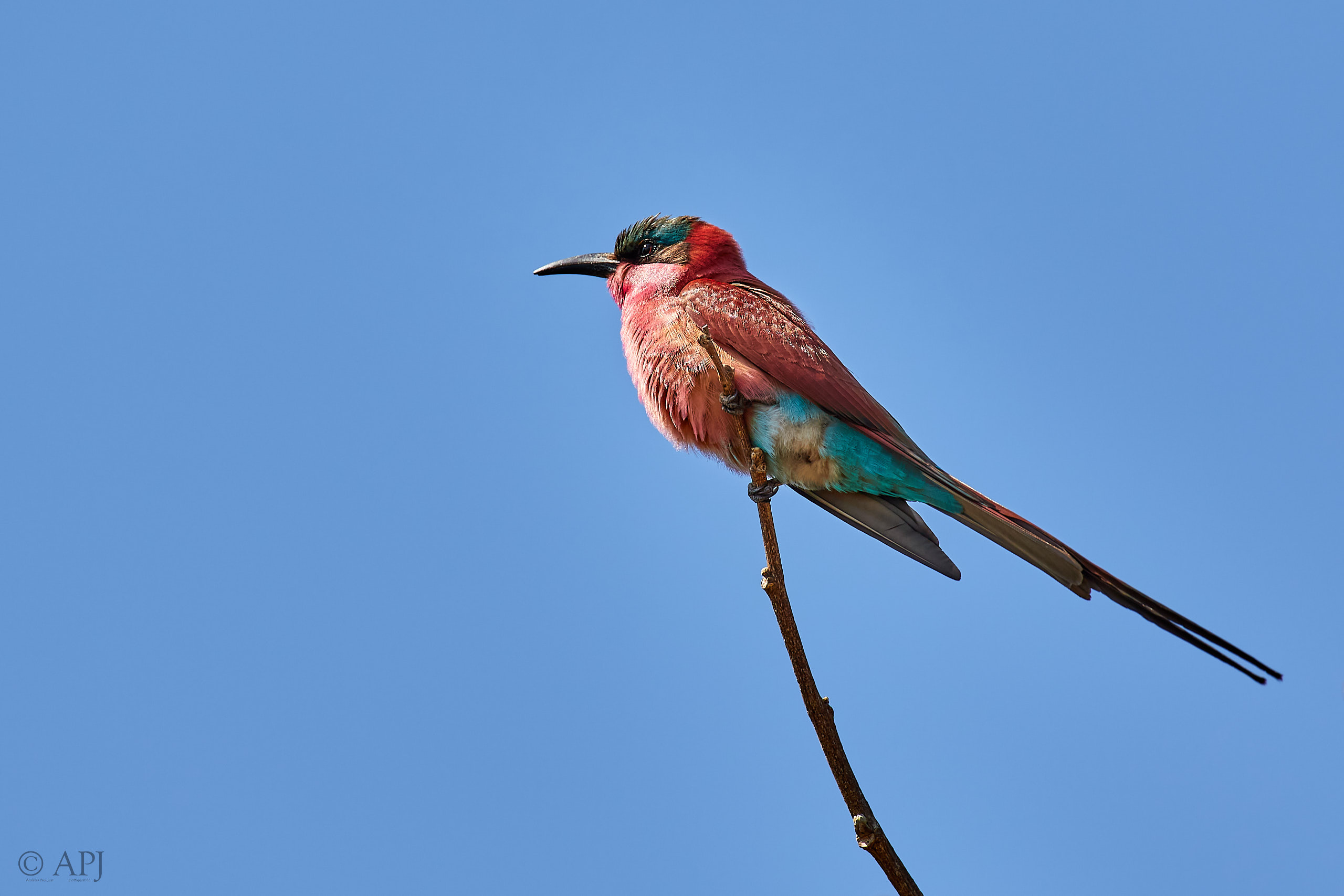 00063 APJ Sambia Malawi 2018 00489