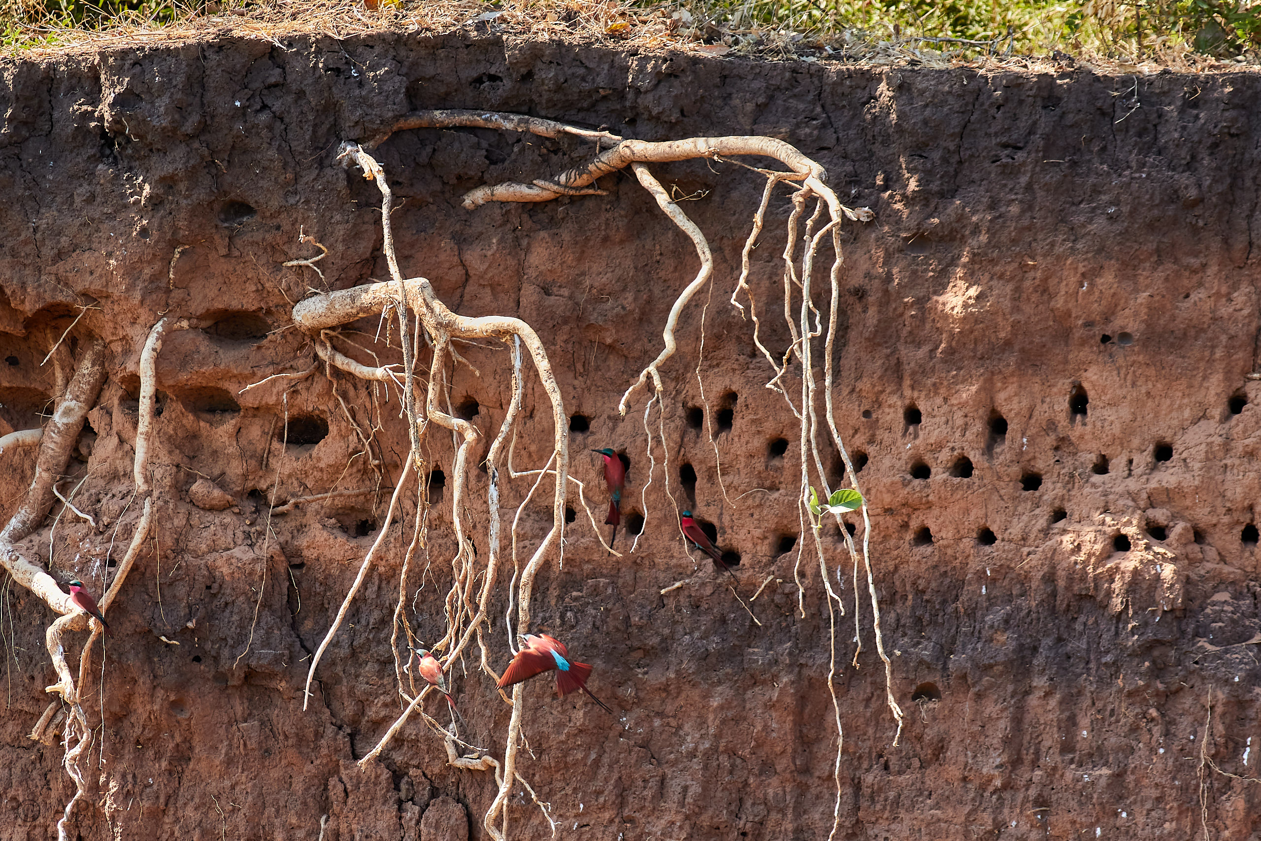 00064 APJ Sambia Malawi 2018 00497