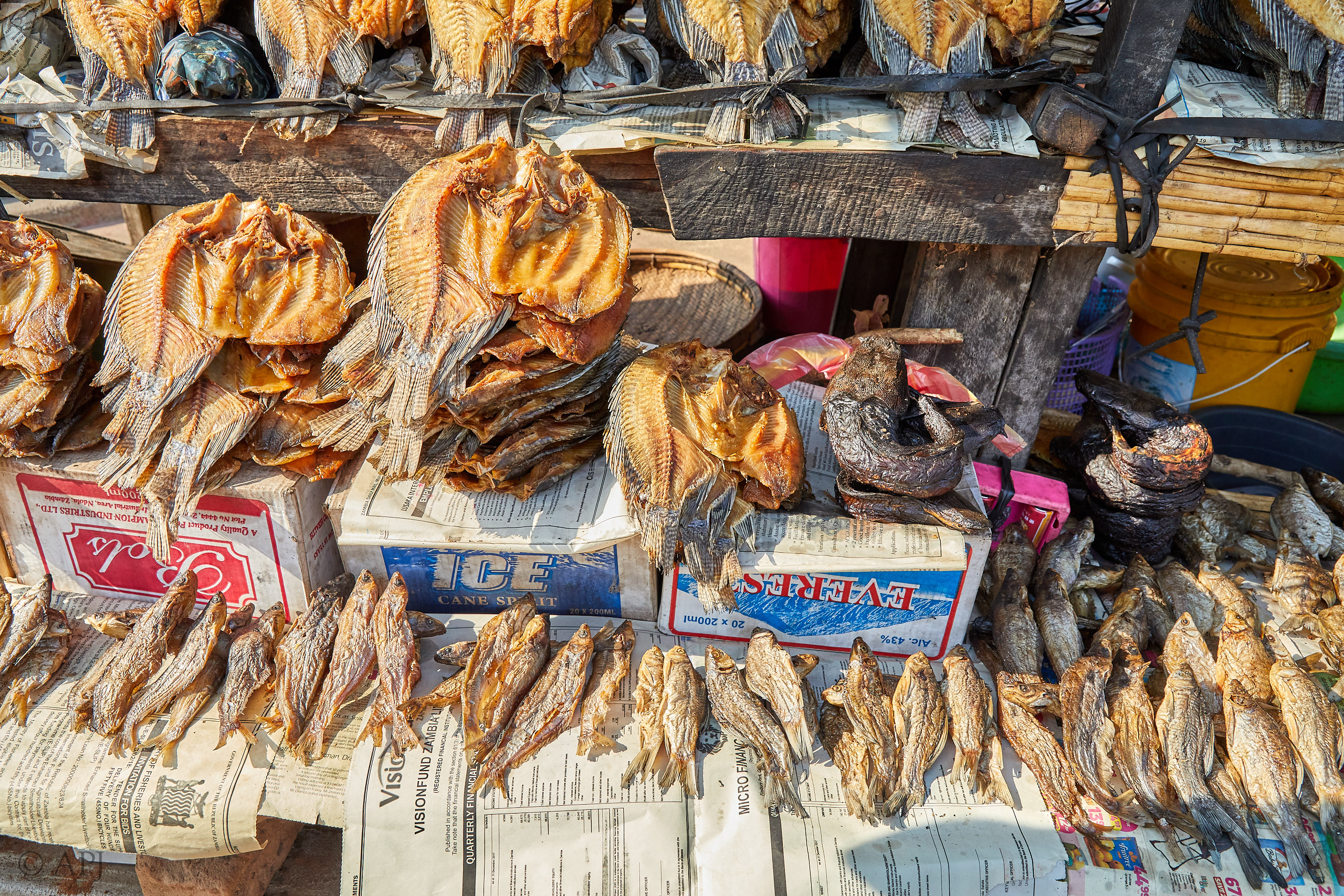 00102 APJ Sambia Malawi 2018 00744