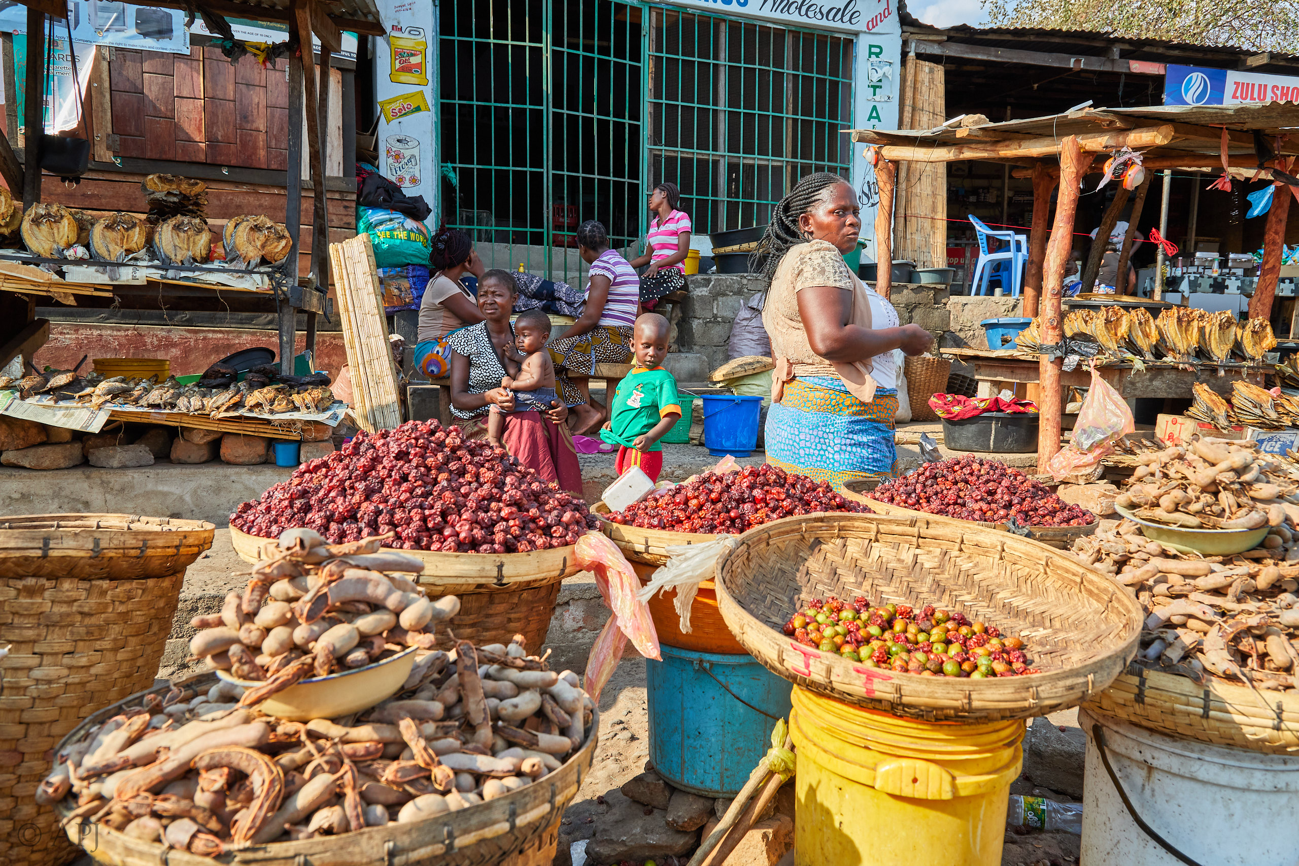 00105 APJ Sambia Malawi 2018 00747