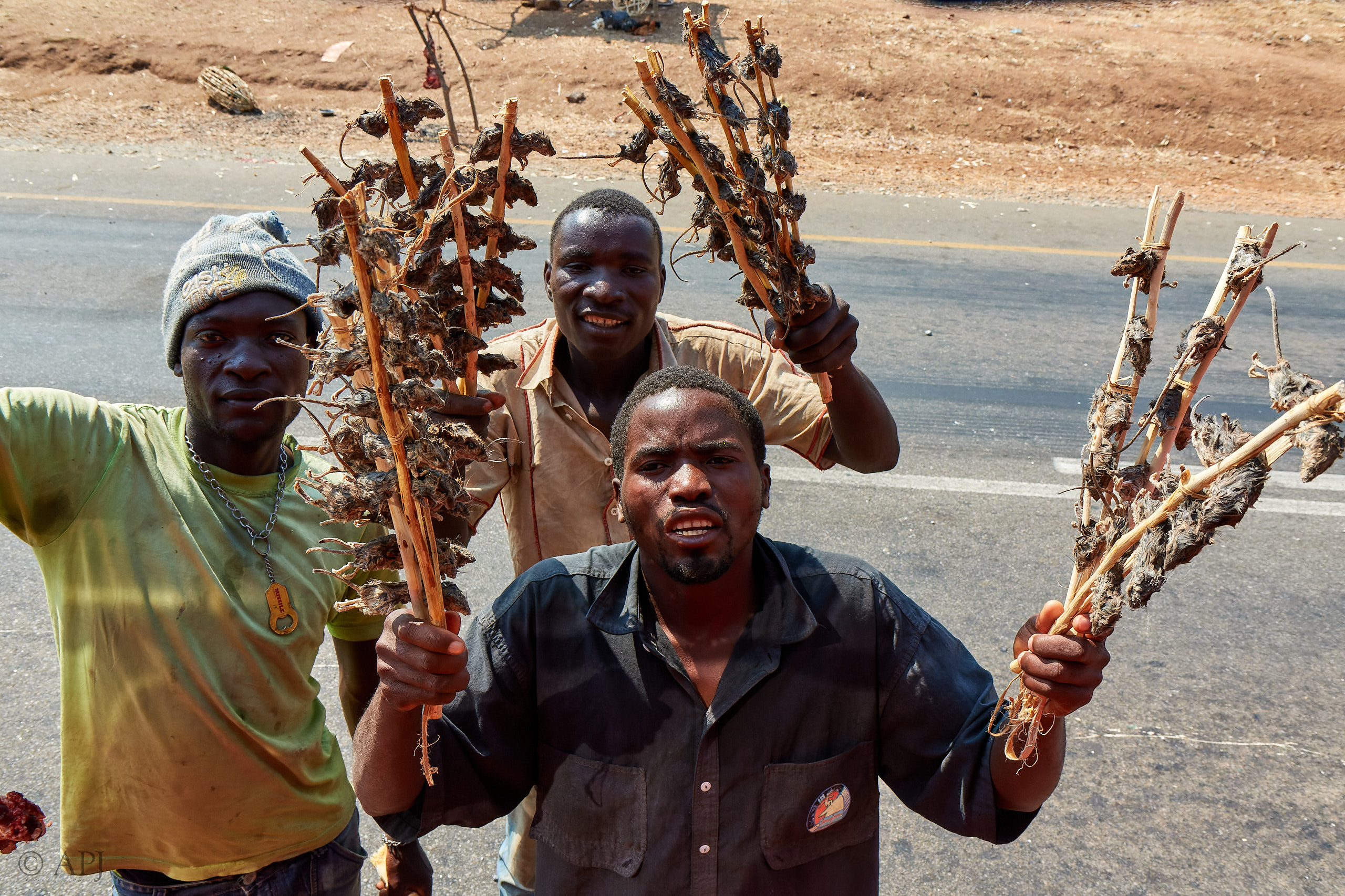 00116 APJ Sambia Malawi 2018 00788 D