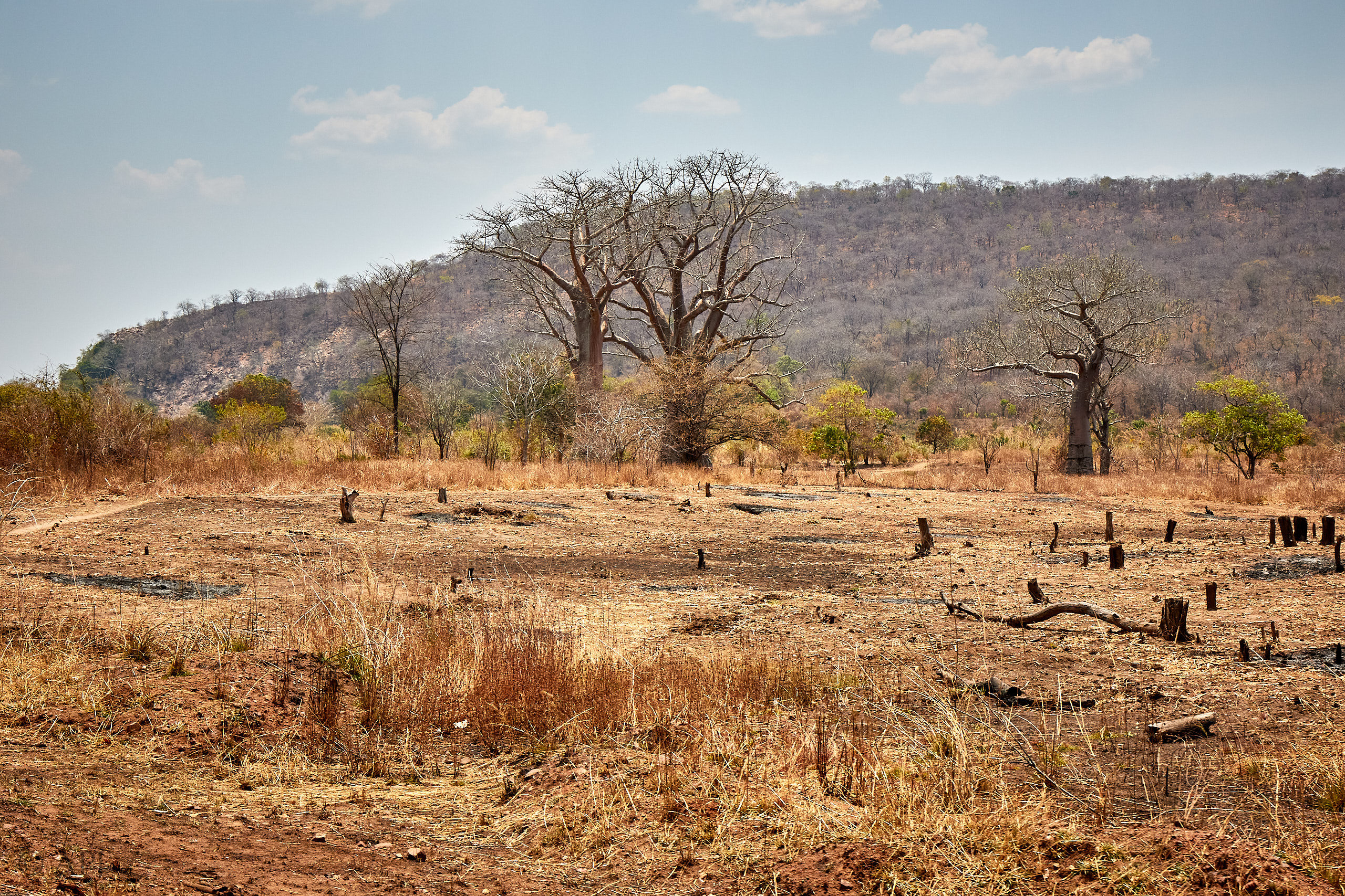 00118 APJ Sambia Malawi 2018 00800