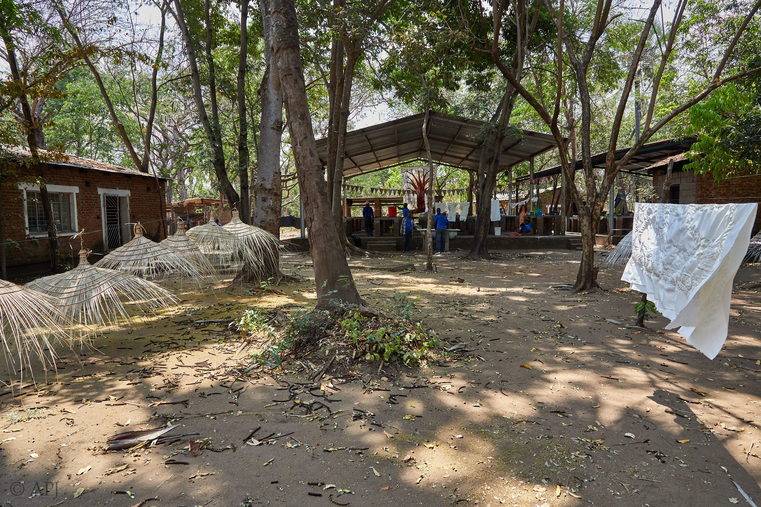 00127 APJ Sambia Malawi 2018 00829