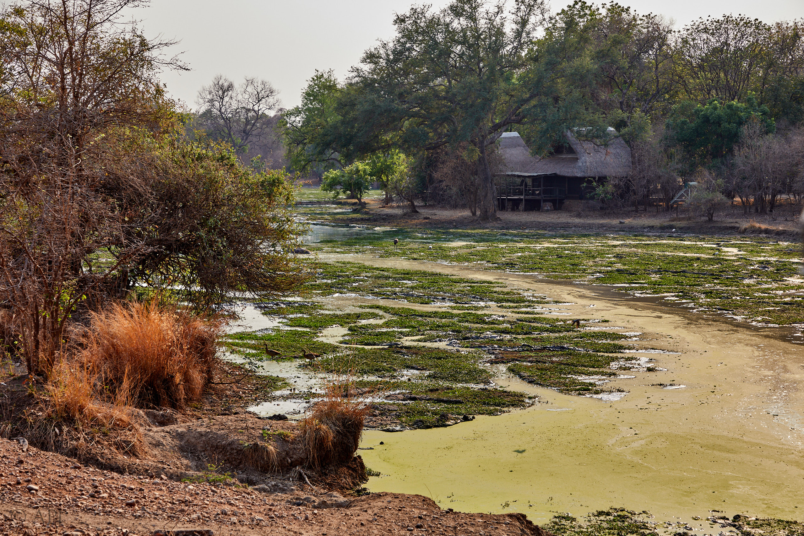 00161 APJ Sambia Malawi 2018 01106