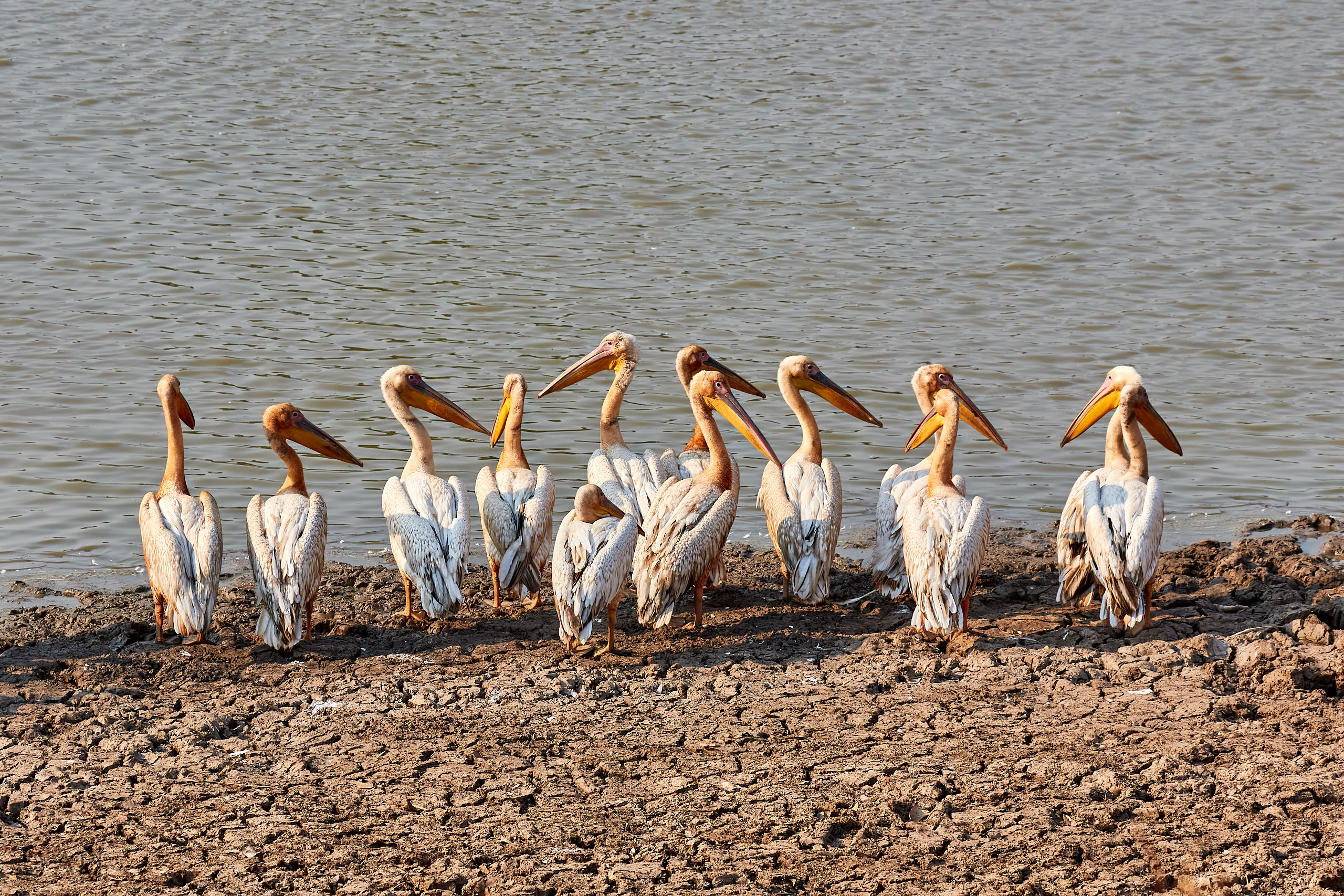 00164 APJ Sambia Malawi 2018 01141