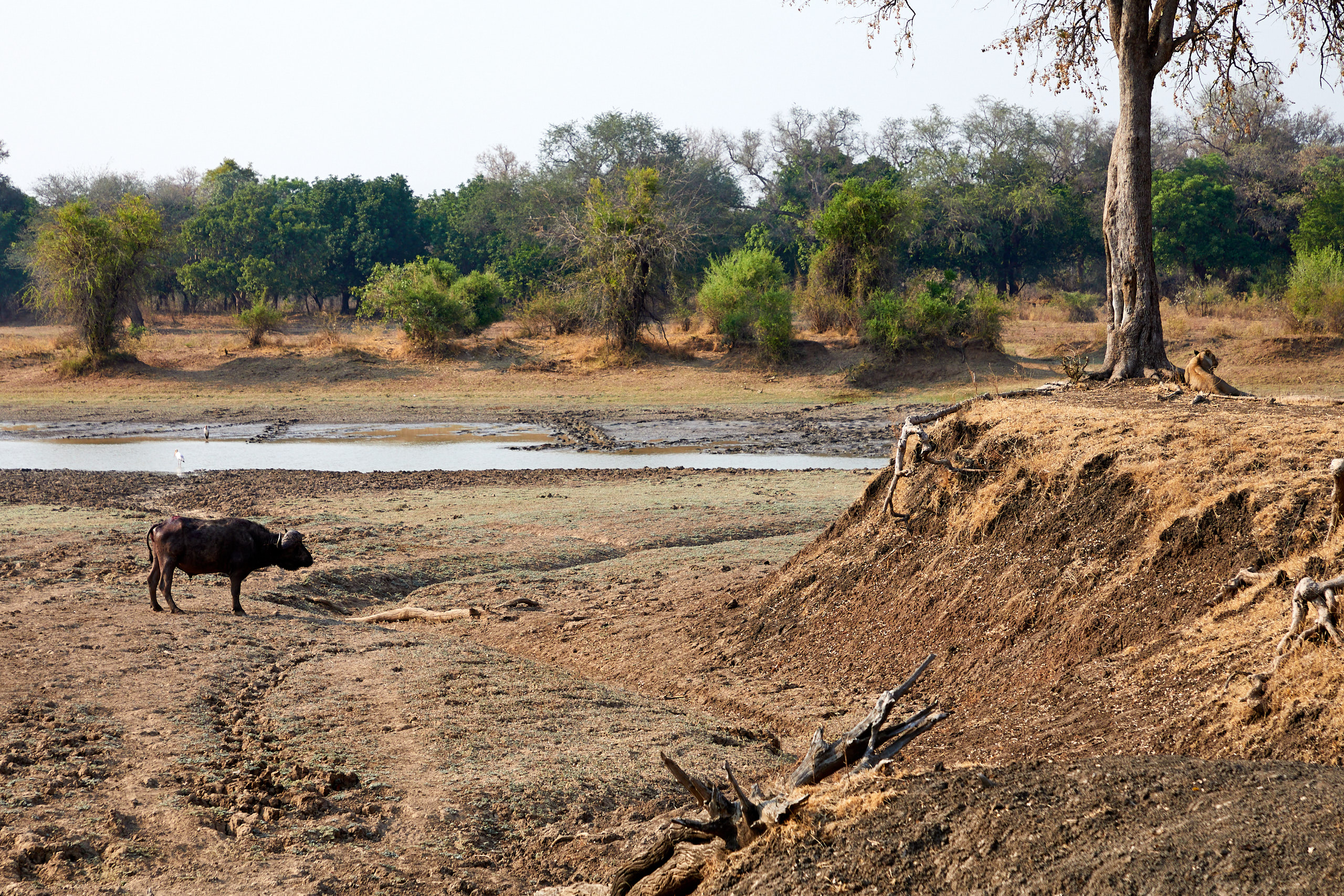 00168 APJ Sambia Malawi 2018 01156
