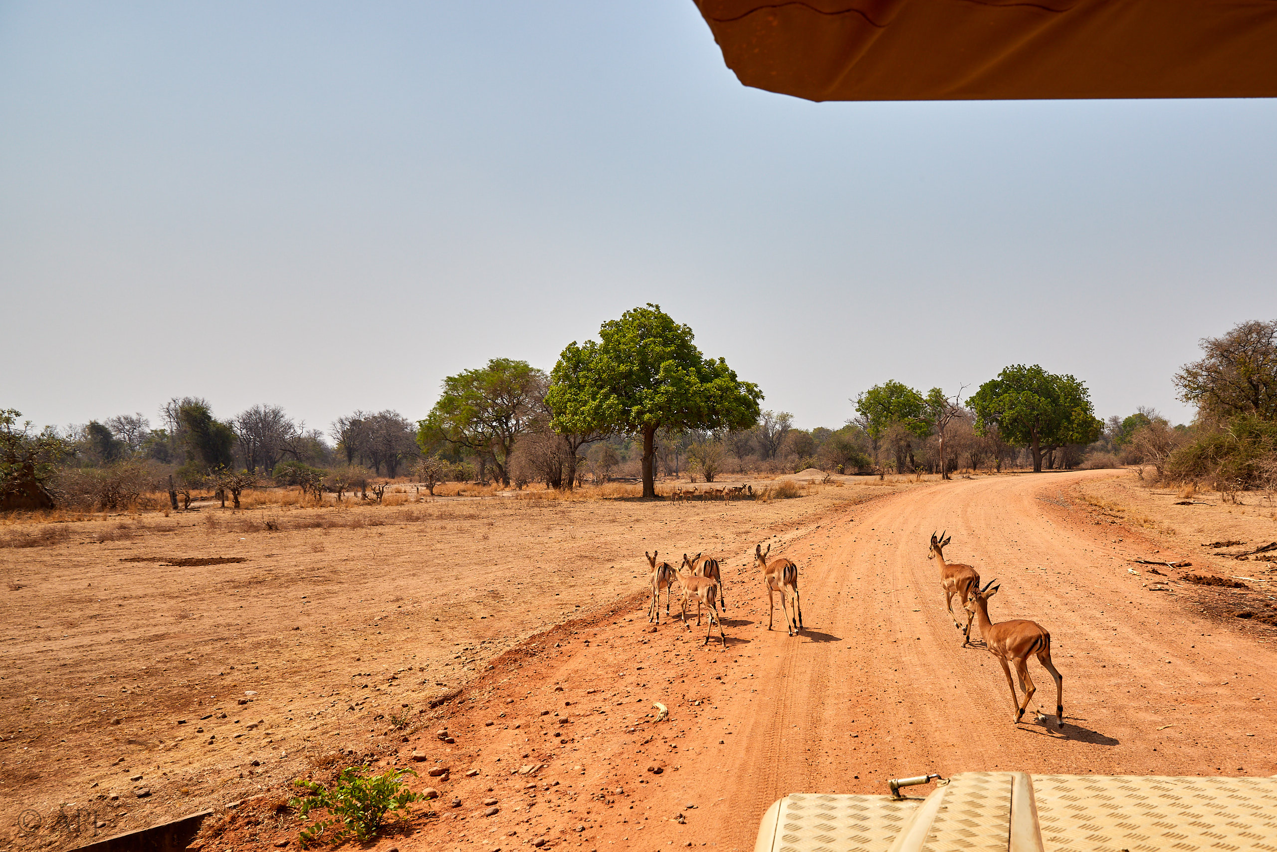 00190 APJ Sambia Malawi 2018 01379