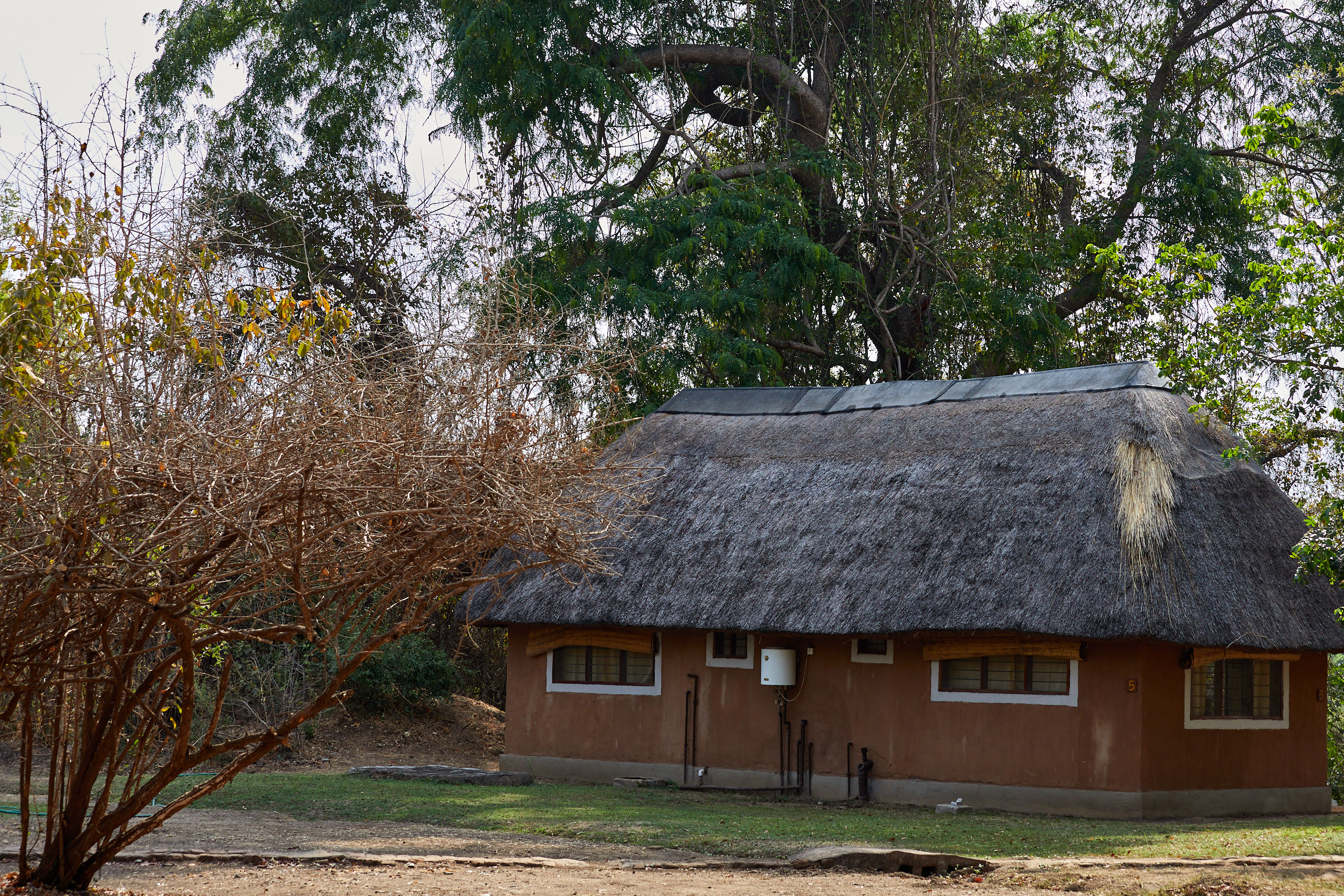 00194 APJ Sambia Malawi 2018 01416