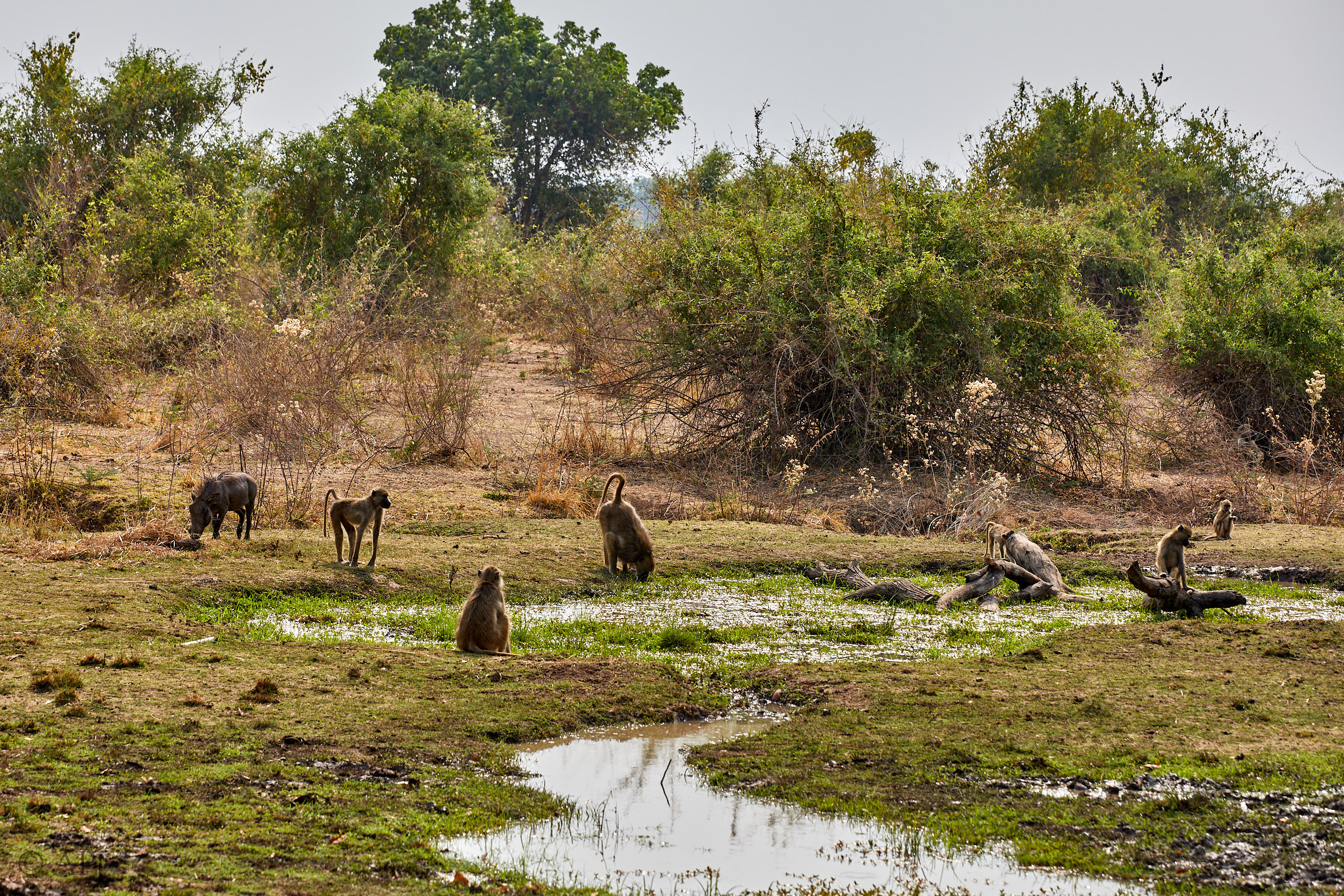 00196 APJ Sambia Malawi 2018 01439