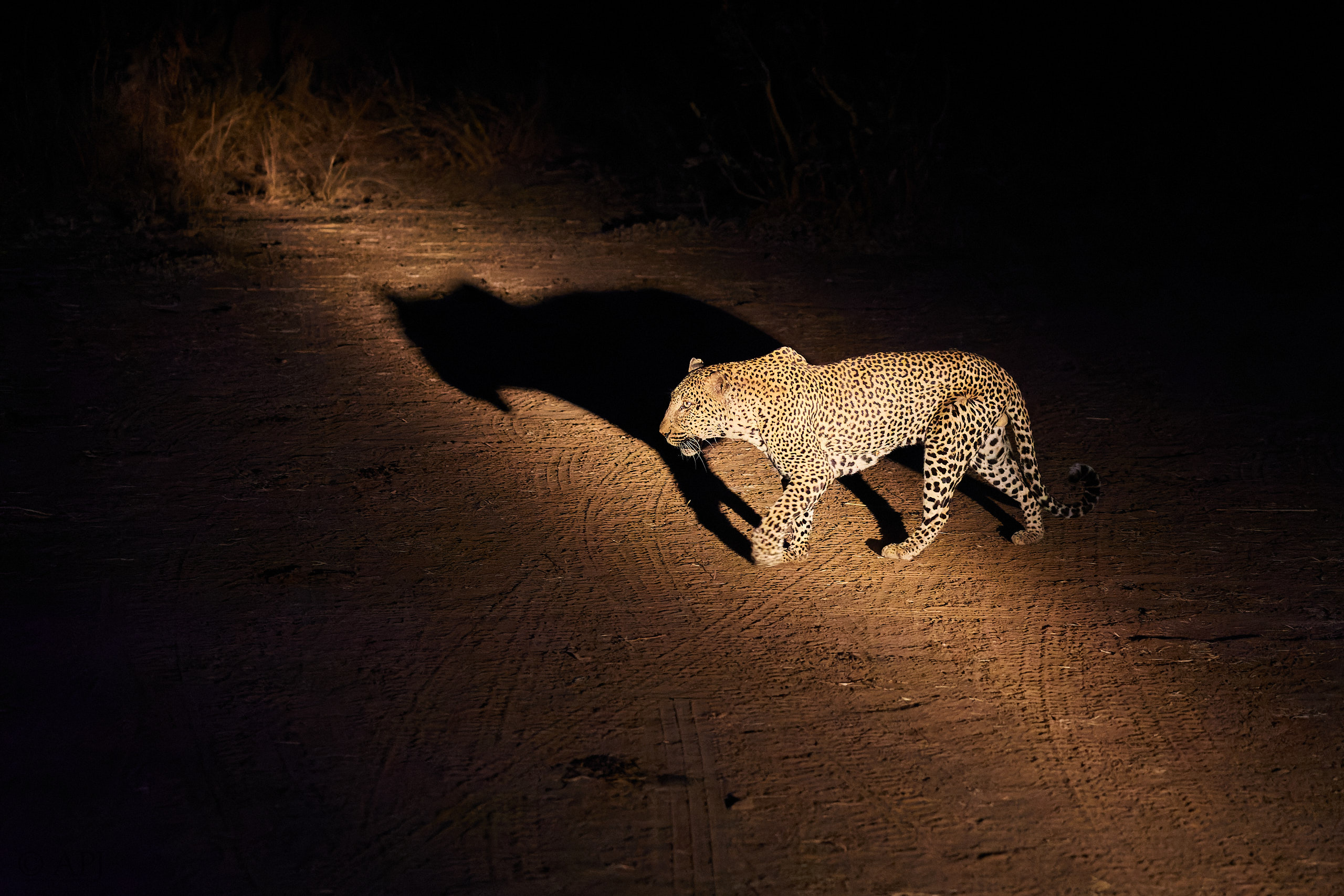 00219 APJ Sambia Malawi 2018 01723