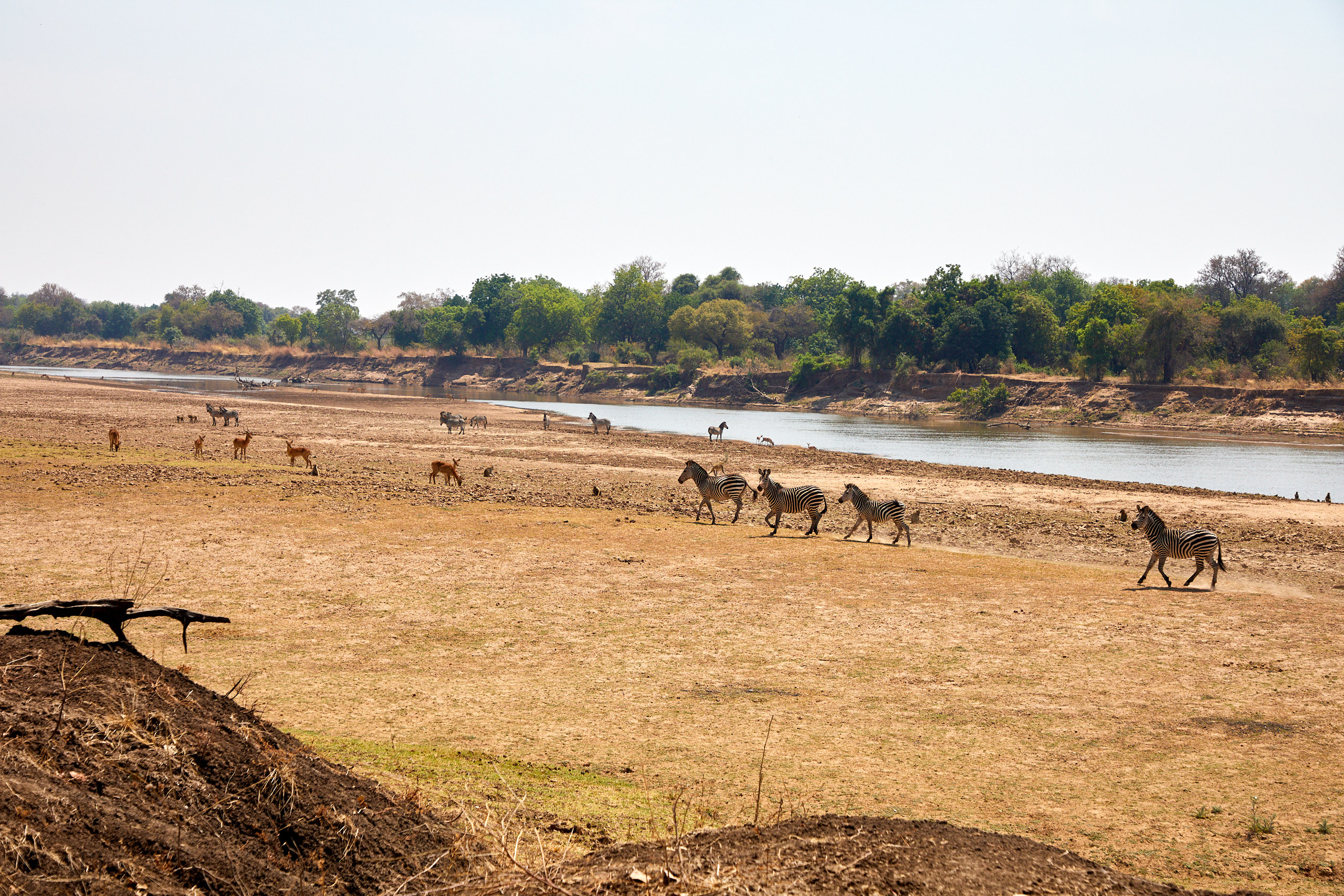00257 APJ Sambia Malawi 2018 02093